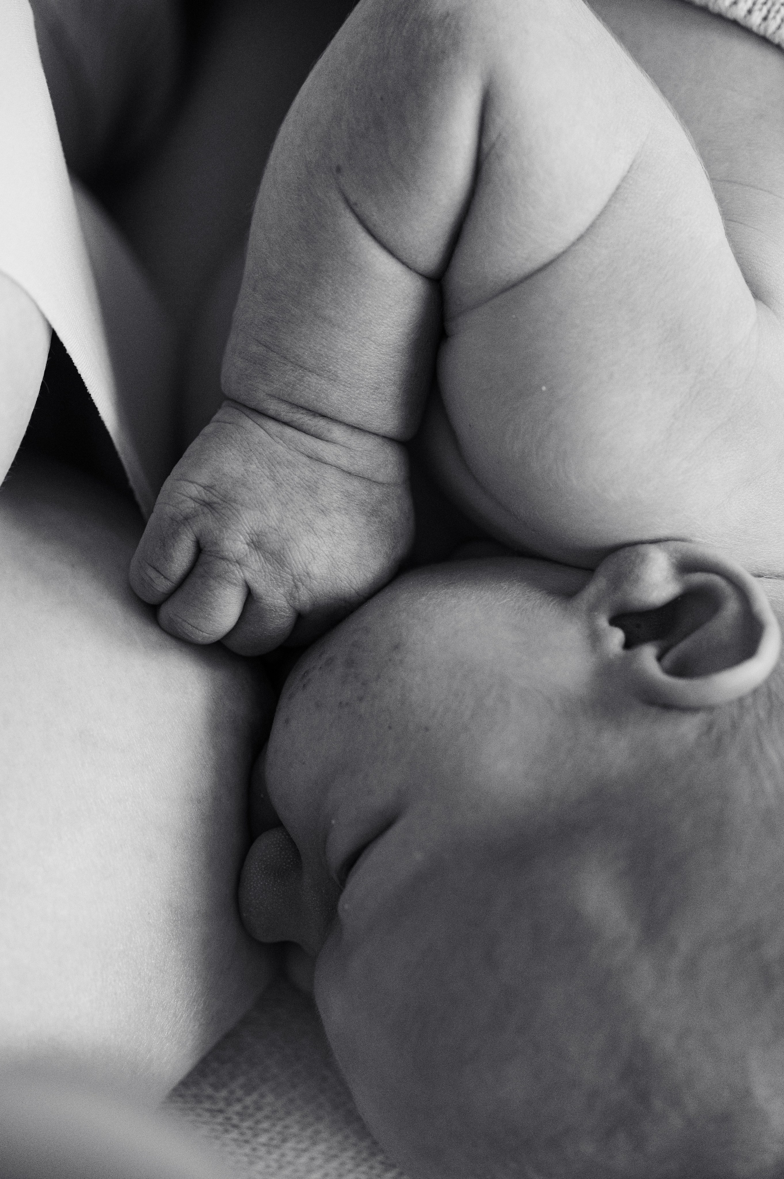 Выписка Льва. Фотограф на роды СПБ Юлия Герасимова