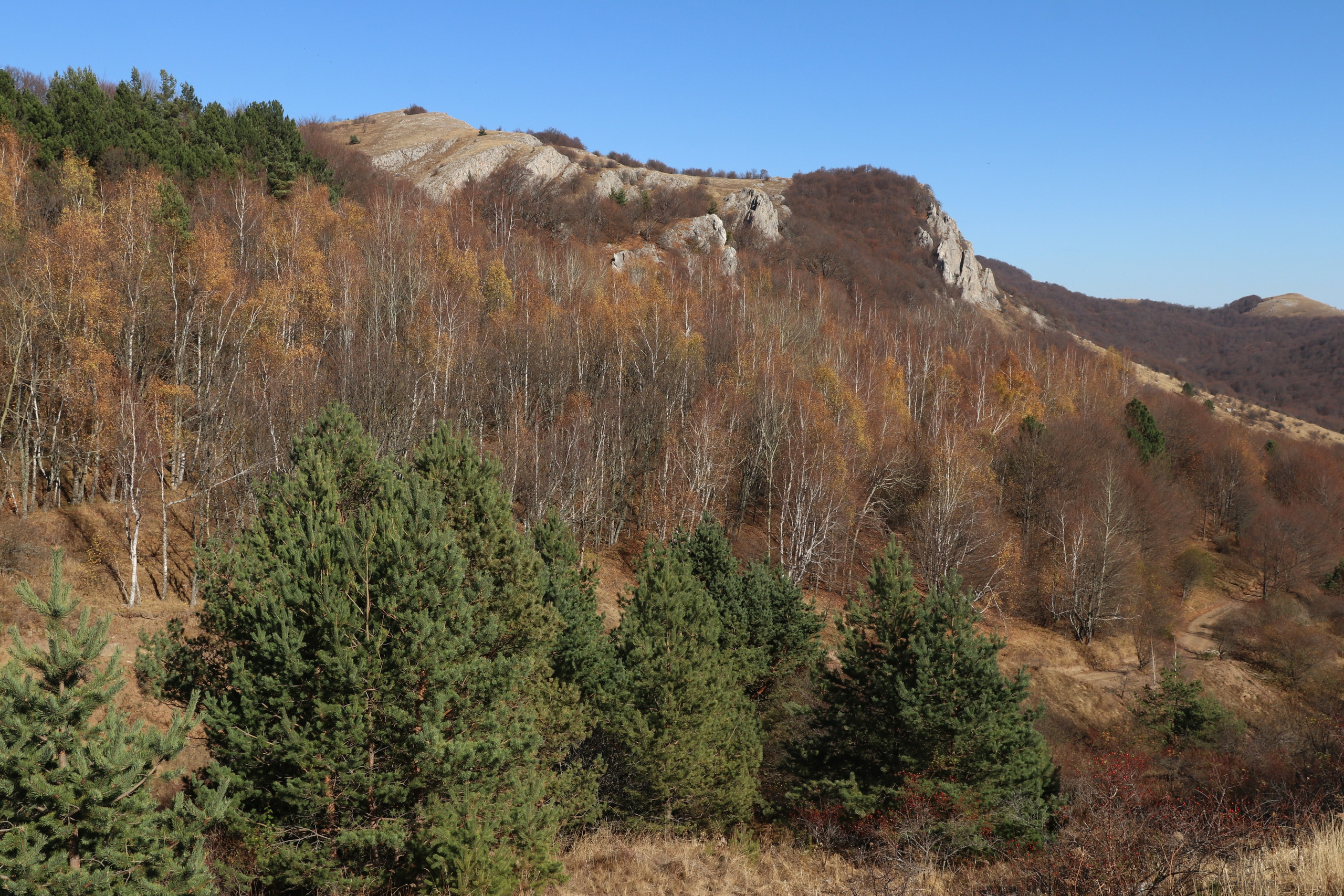 Крым. ЮБК (Гурзуф, Судак и их окрестности). Ноябрь 2023. Путешественник-фотограф из Санкт-Петербурга Татьяна Свистулина