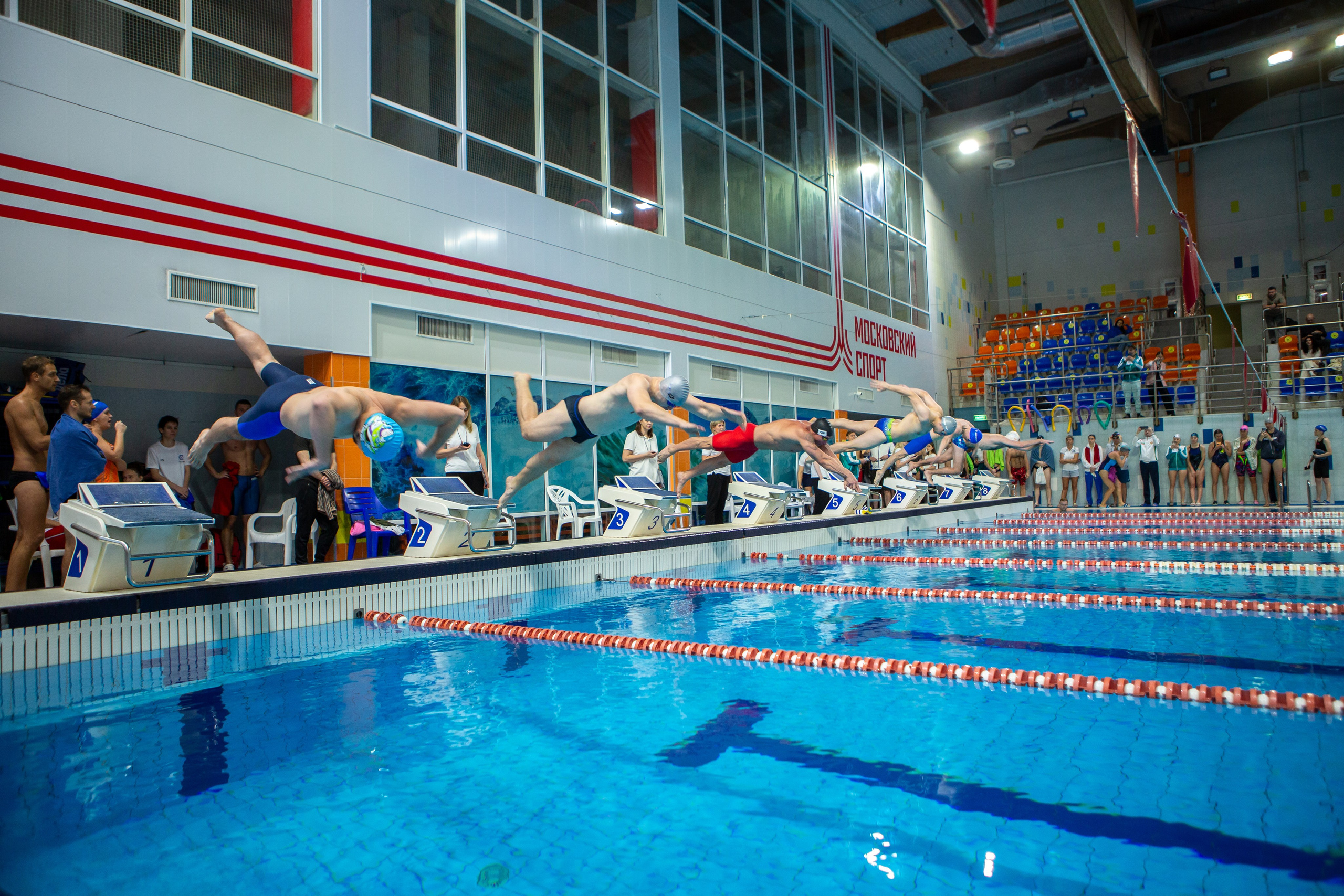 Турнир по плаванию. Репортажный, семейный, свадебный, портретный фотограф