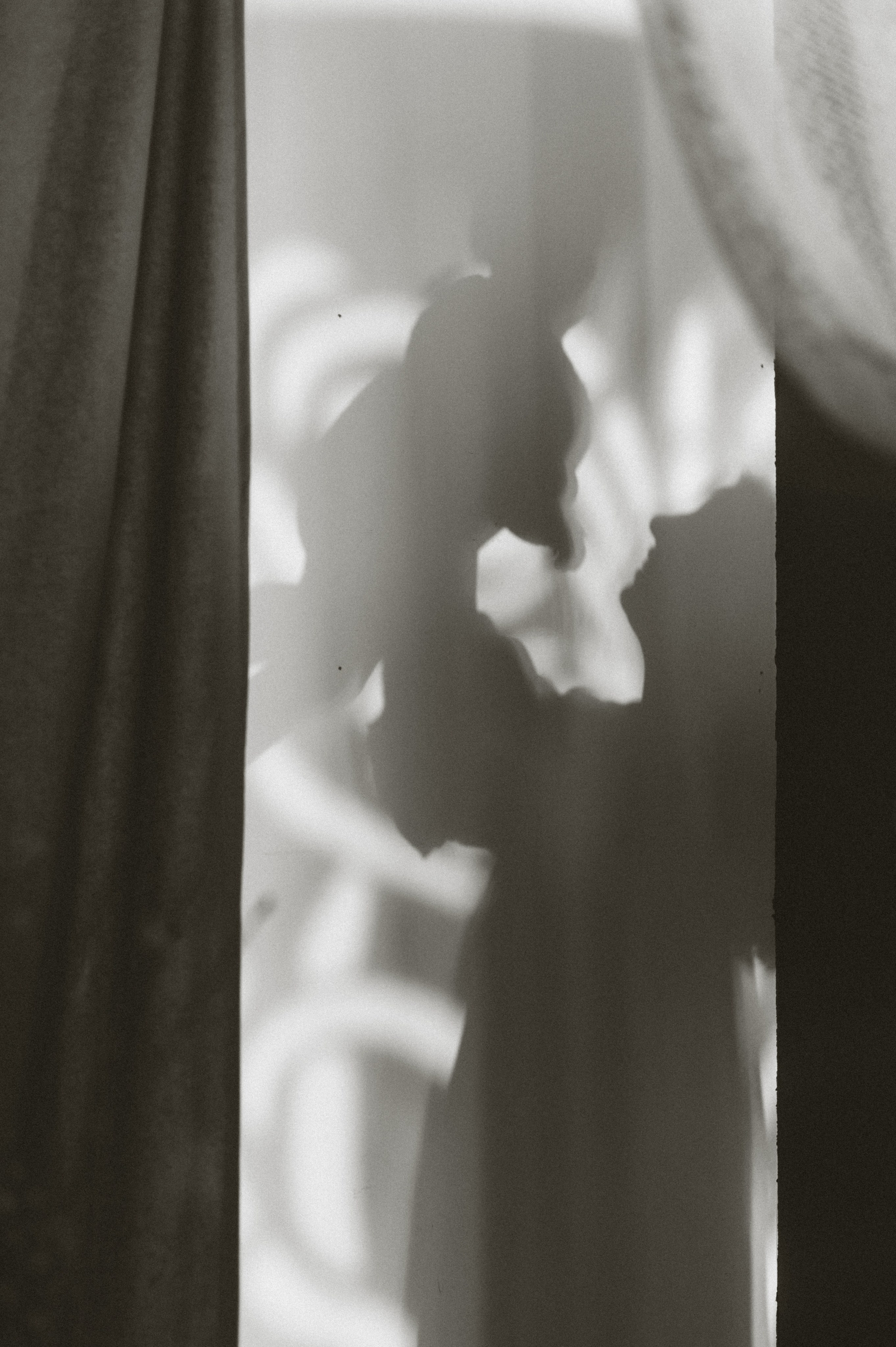 Маленькая София. Семейный фотограф в г. Ставрополь, Сорокина Мария