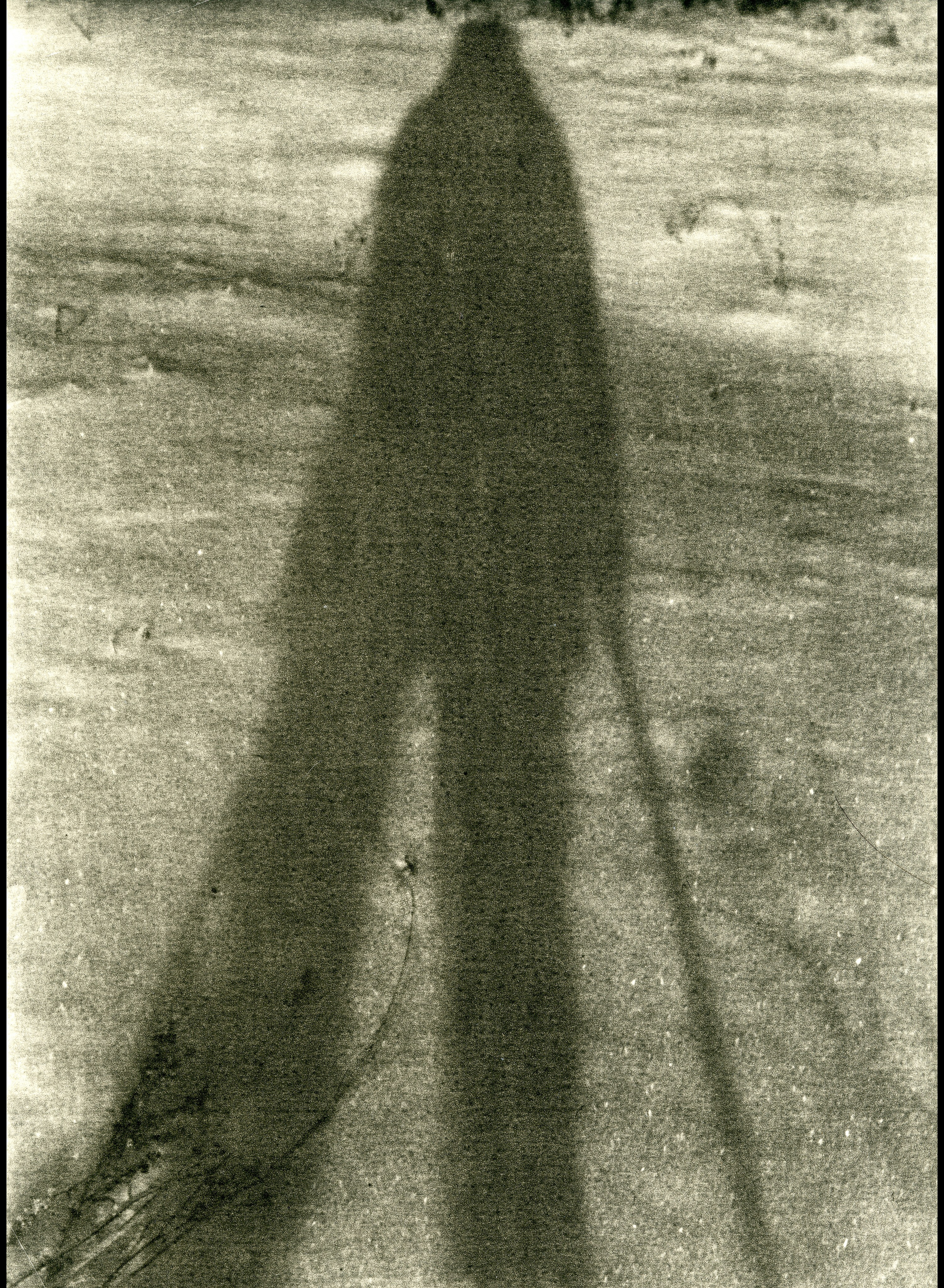 Lith prints. Darkroom aesthetics