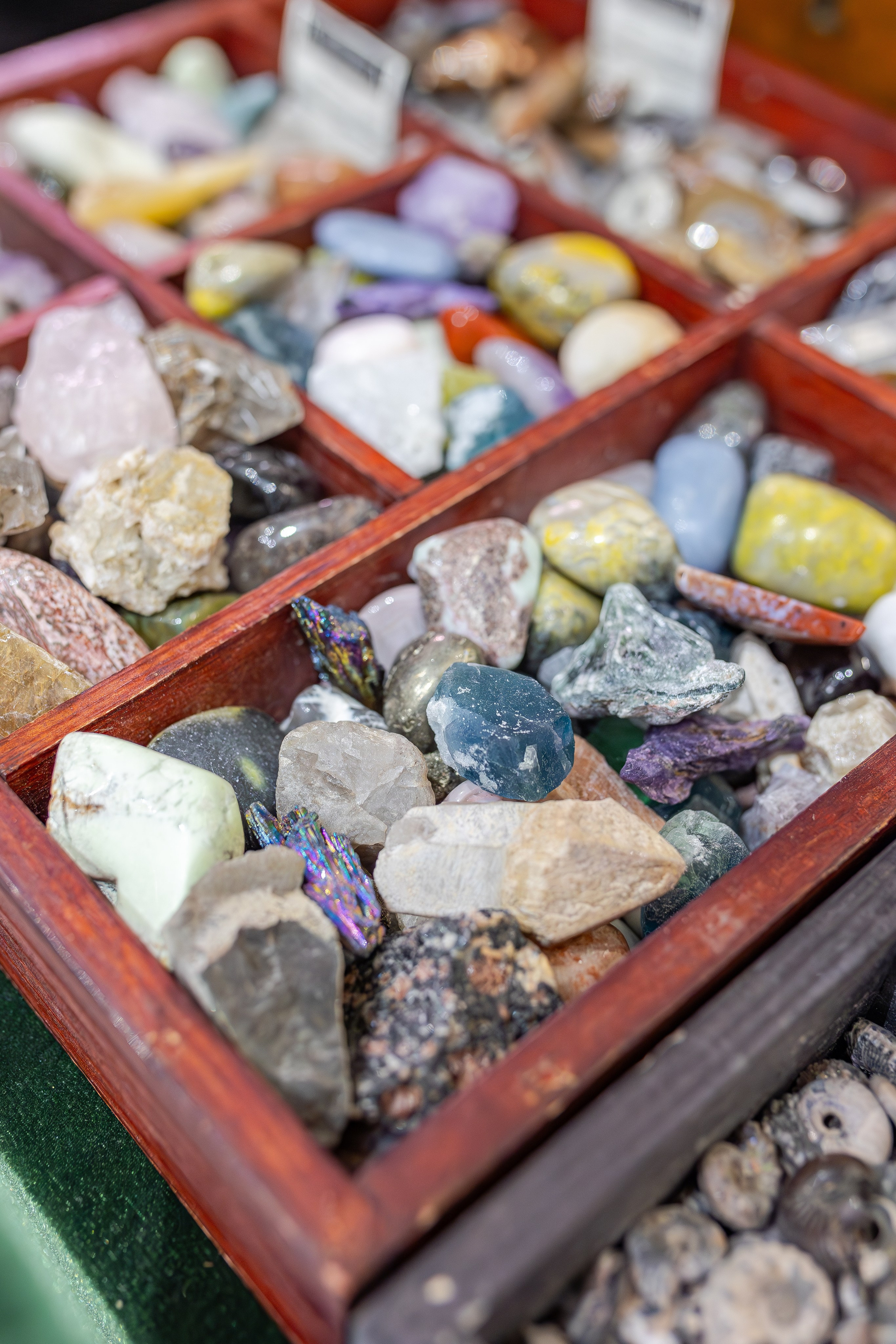 Монстериум апрель 2026. Александра Куликова фотограф, Москва