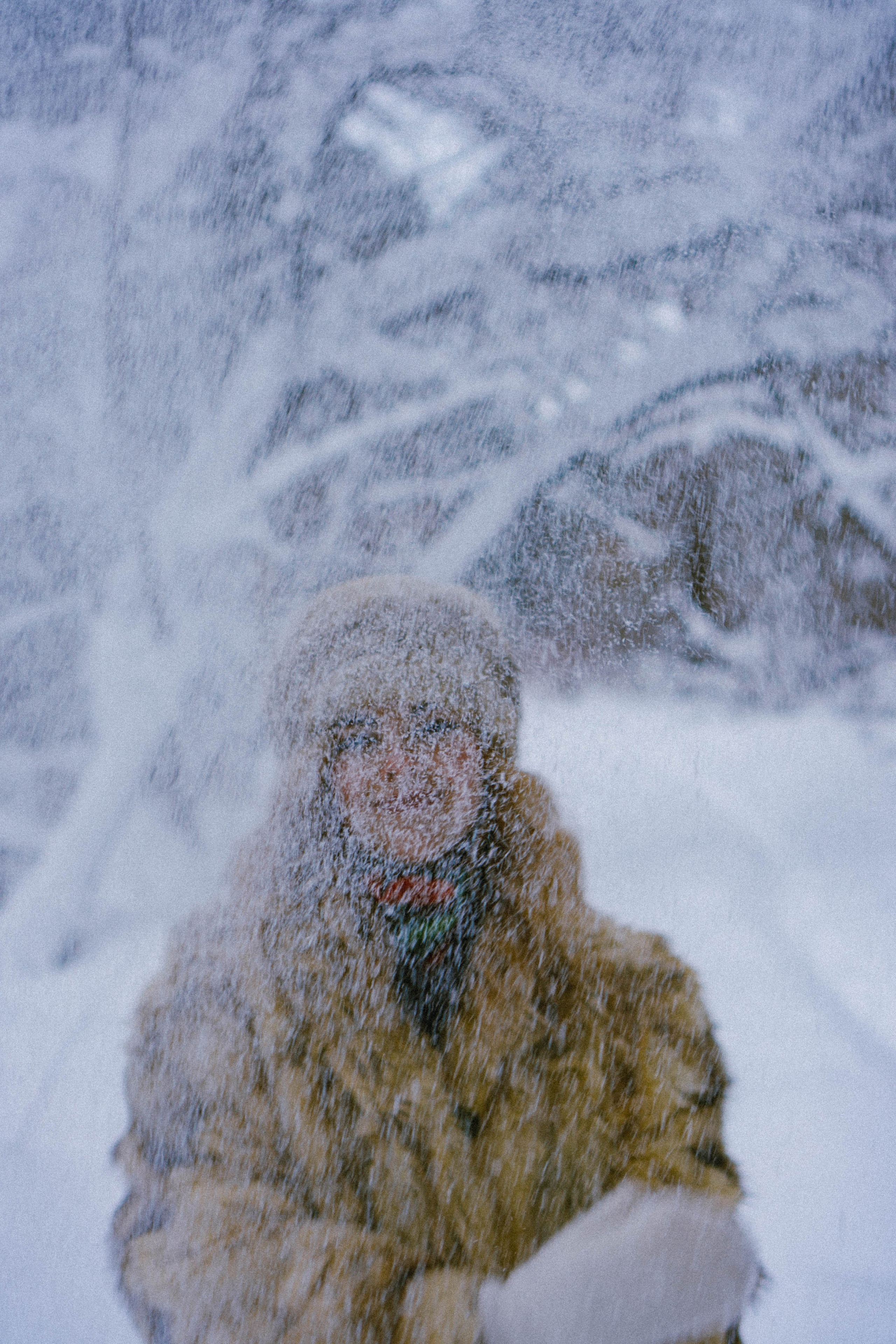 Русский стиль. Профессиональный фотограф, Санкт-Петербург — Виктория Богомолова