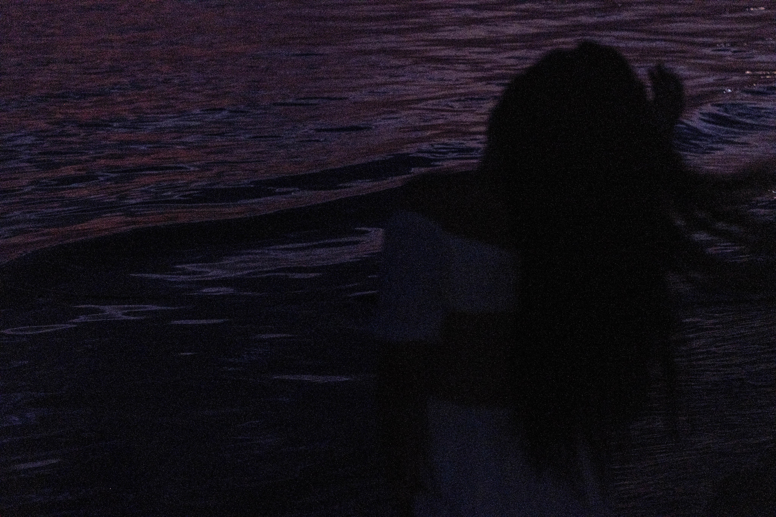 Закат на черном море. Профессиональный фотограф, Санкт-Петербург — Виктория Богомолова