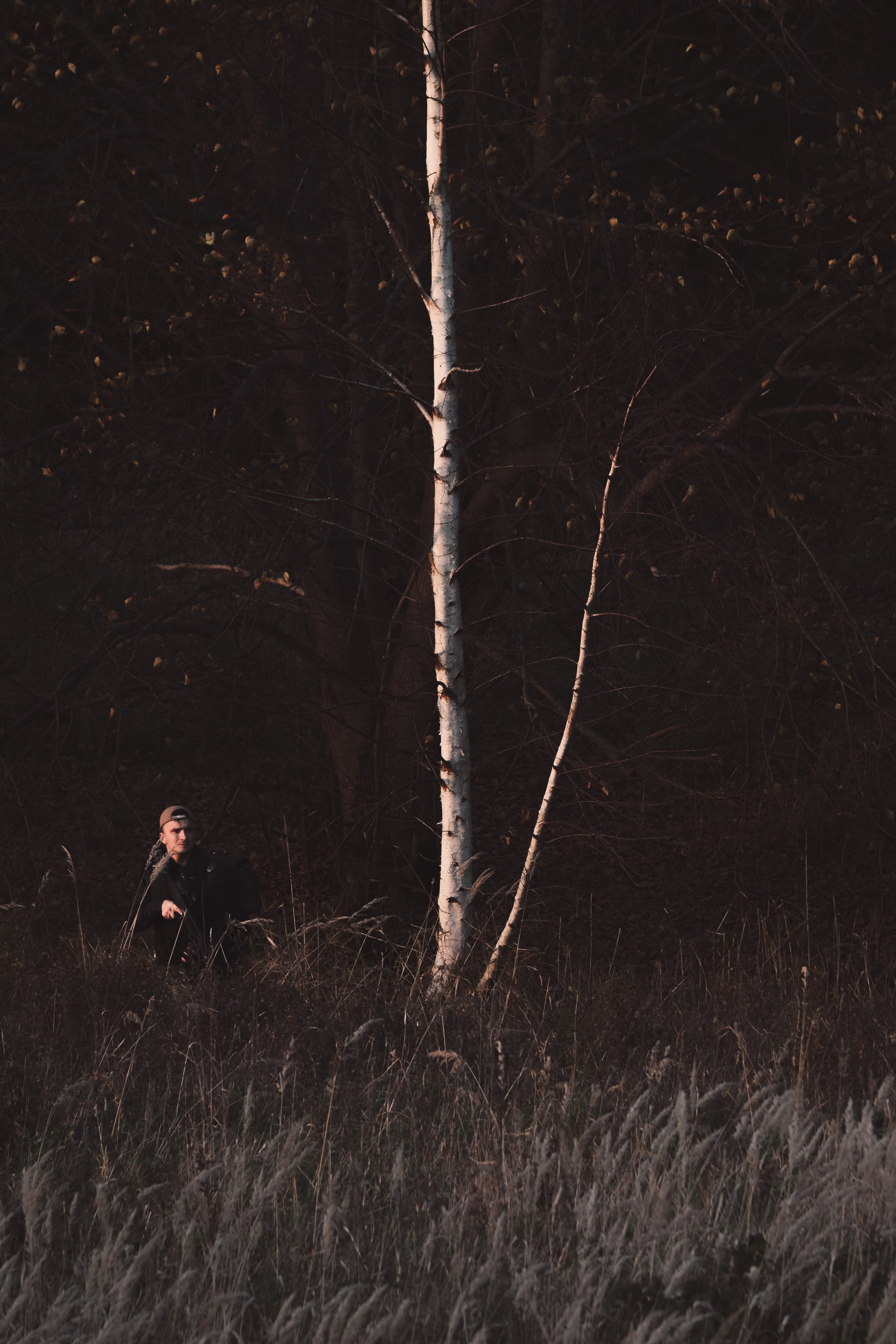 Никита П. (Daryl Dixon). — Digital Noise —