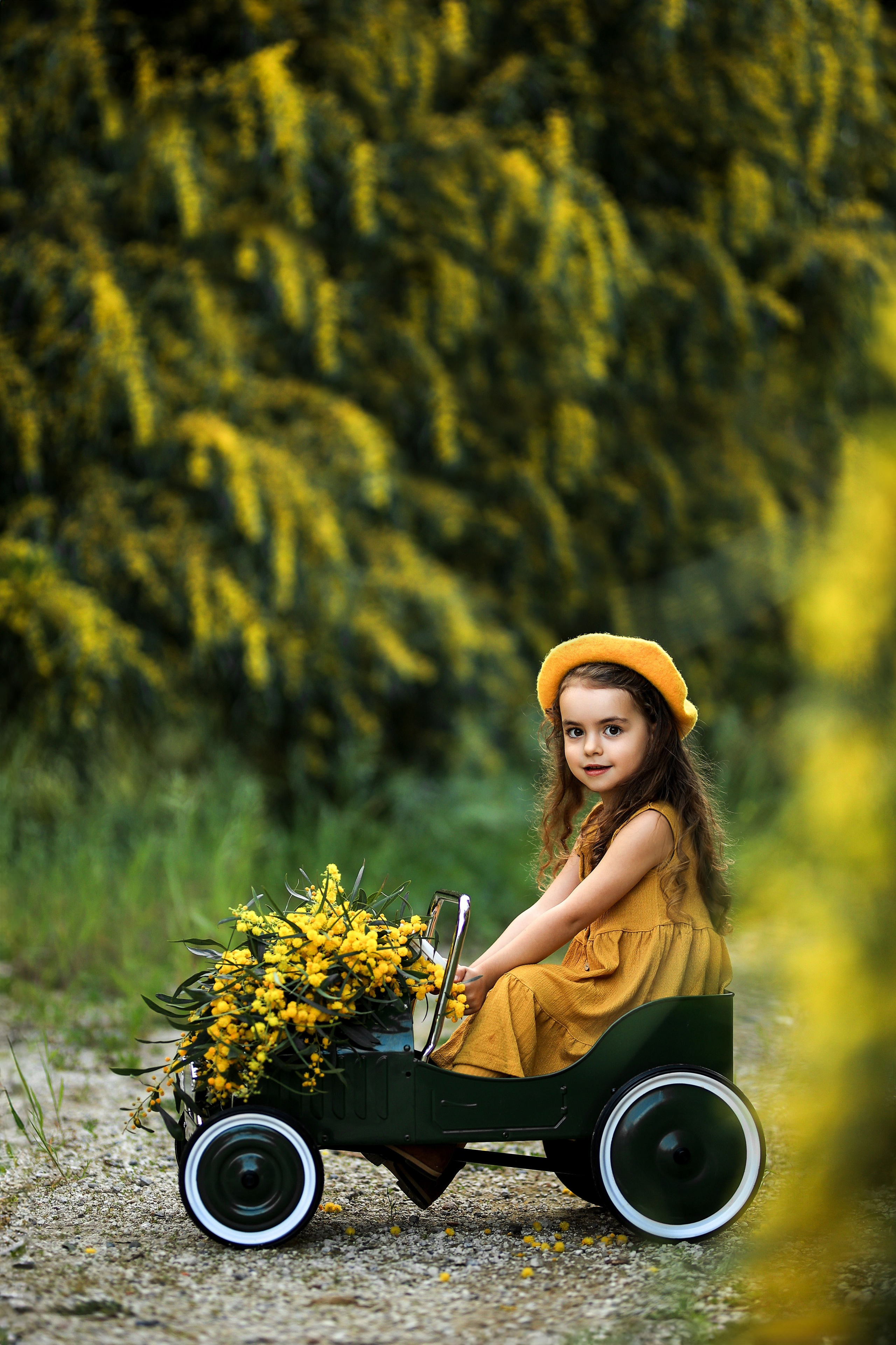 Photoshooting in mimosa