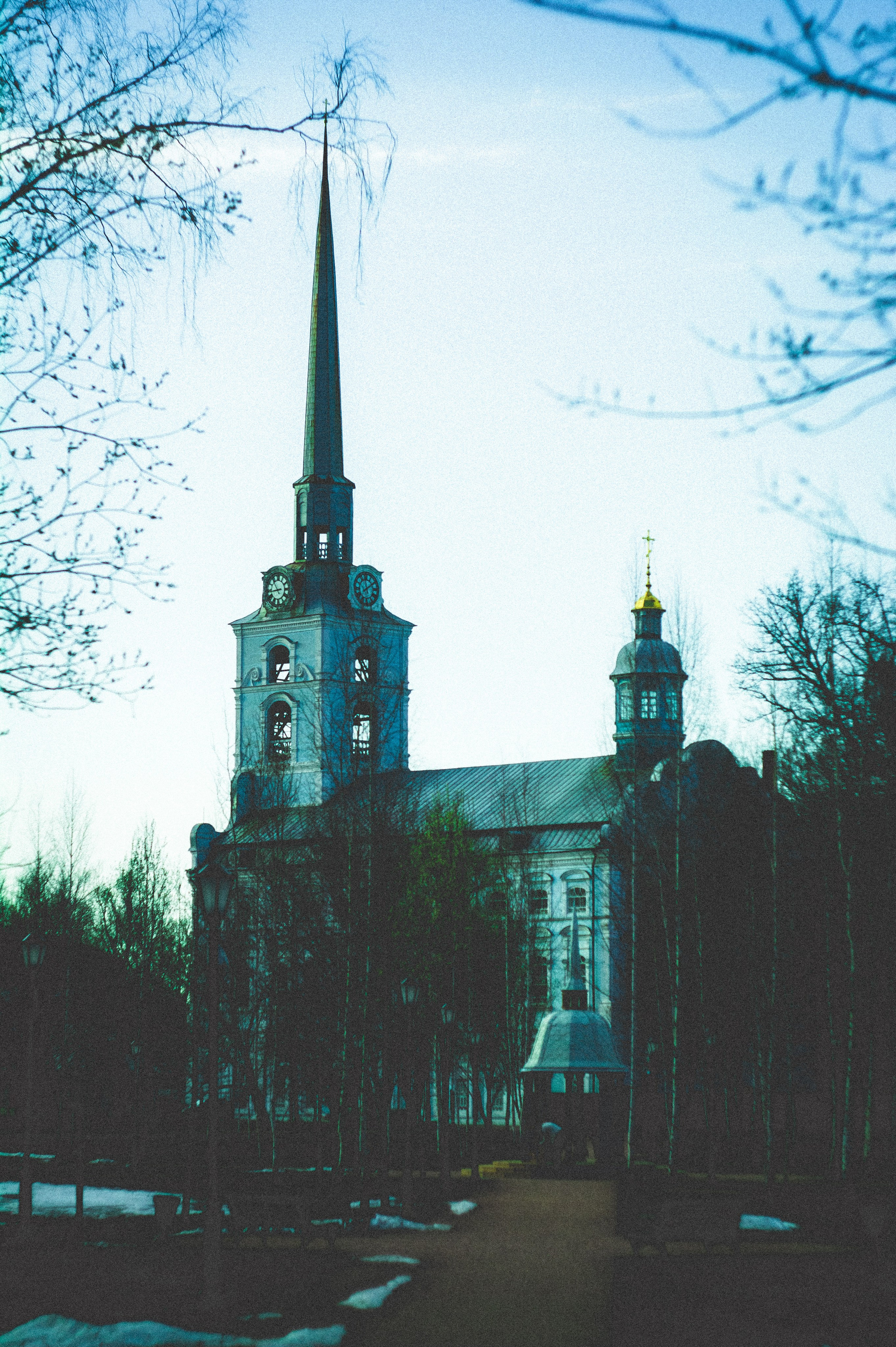 Kingdom. Den Mirov — Photographer, Musician