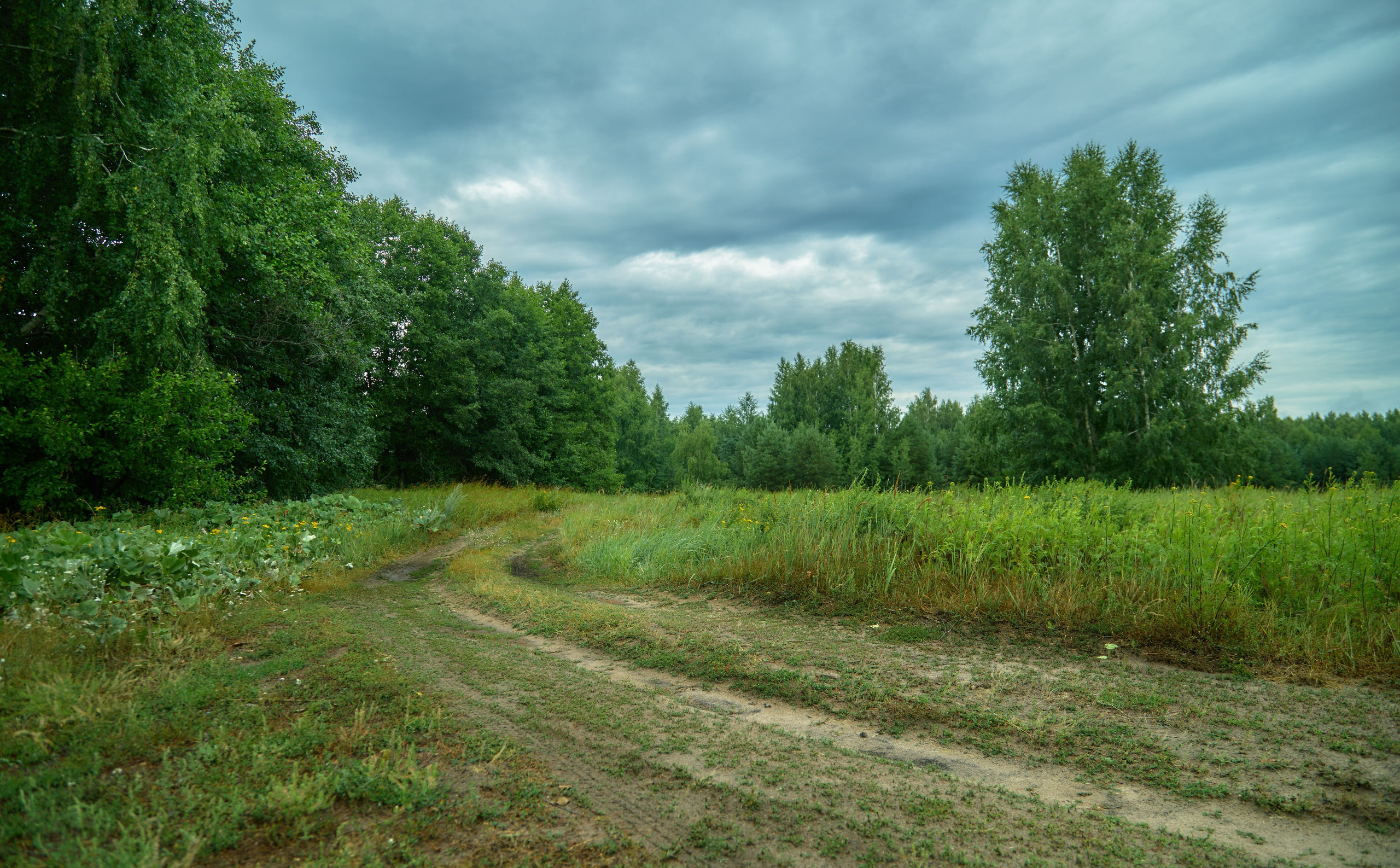 Пейзажная фотосъемка. Владимир Суздалов (ProMaXe) — Портретный фотограф, тематические фотосессии в Чебоксарах