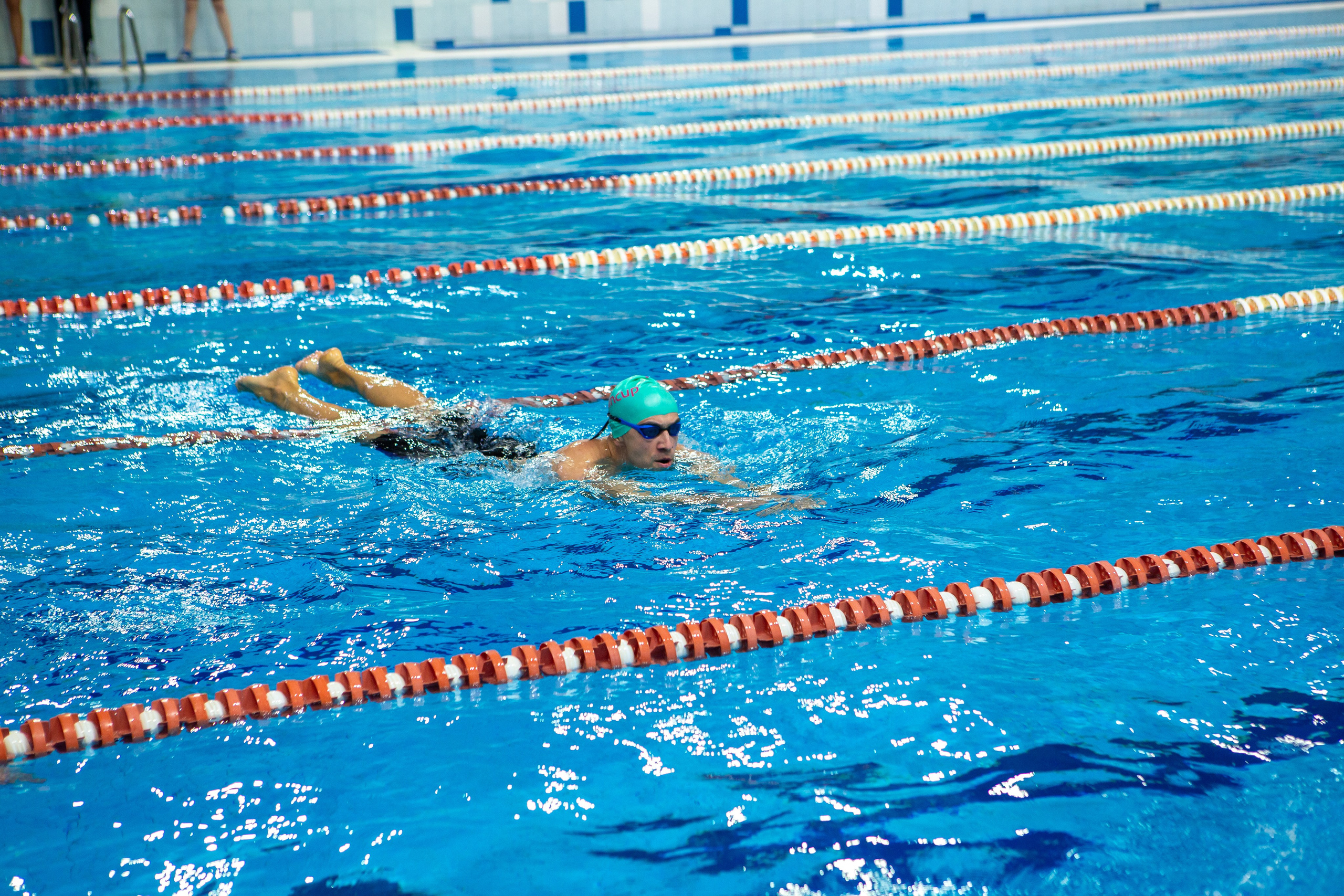 Турнир по плаванию. Репортажный, семейный, свадебный, портретный фотограф
