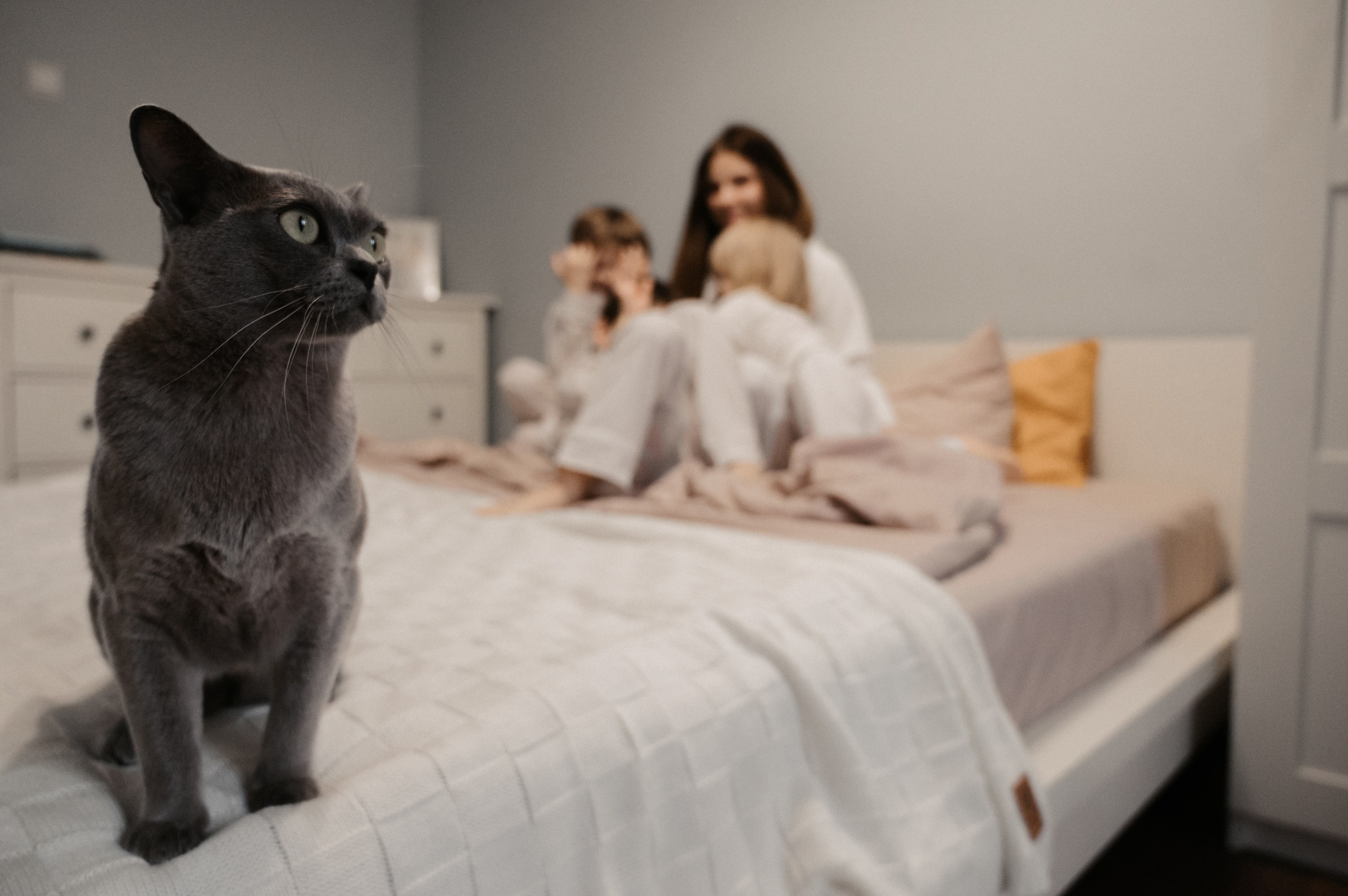 Дома. Фотограф Ким Ангелина