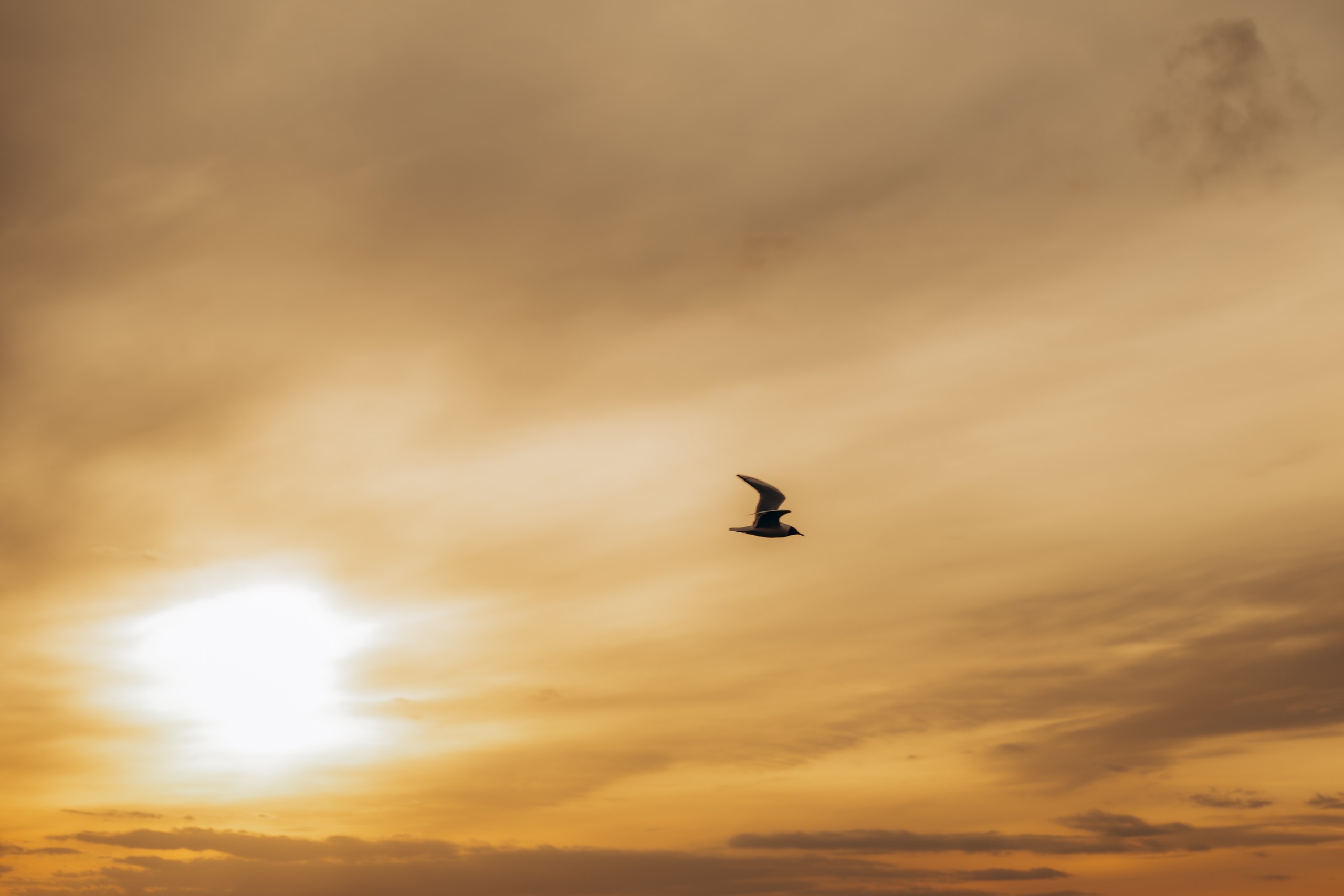 Вероника + Никита. Фотограф Мария Миллс | Минск