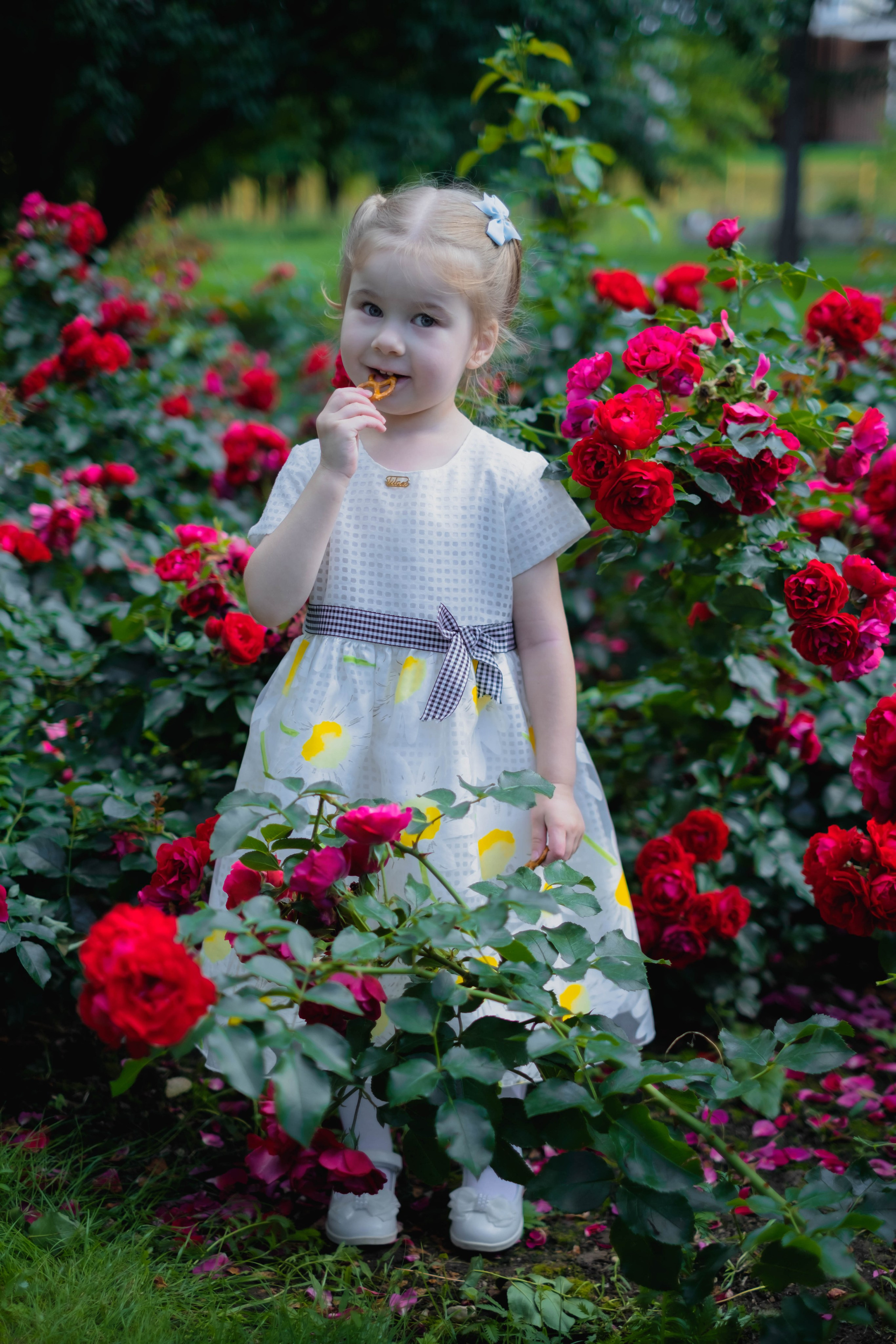 Семейные истории. Фотограф в Москве Мария Лисичкина