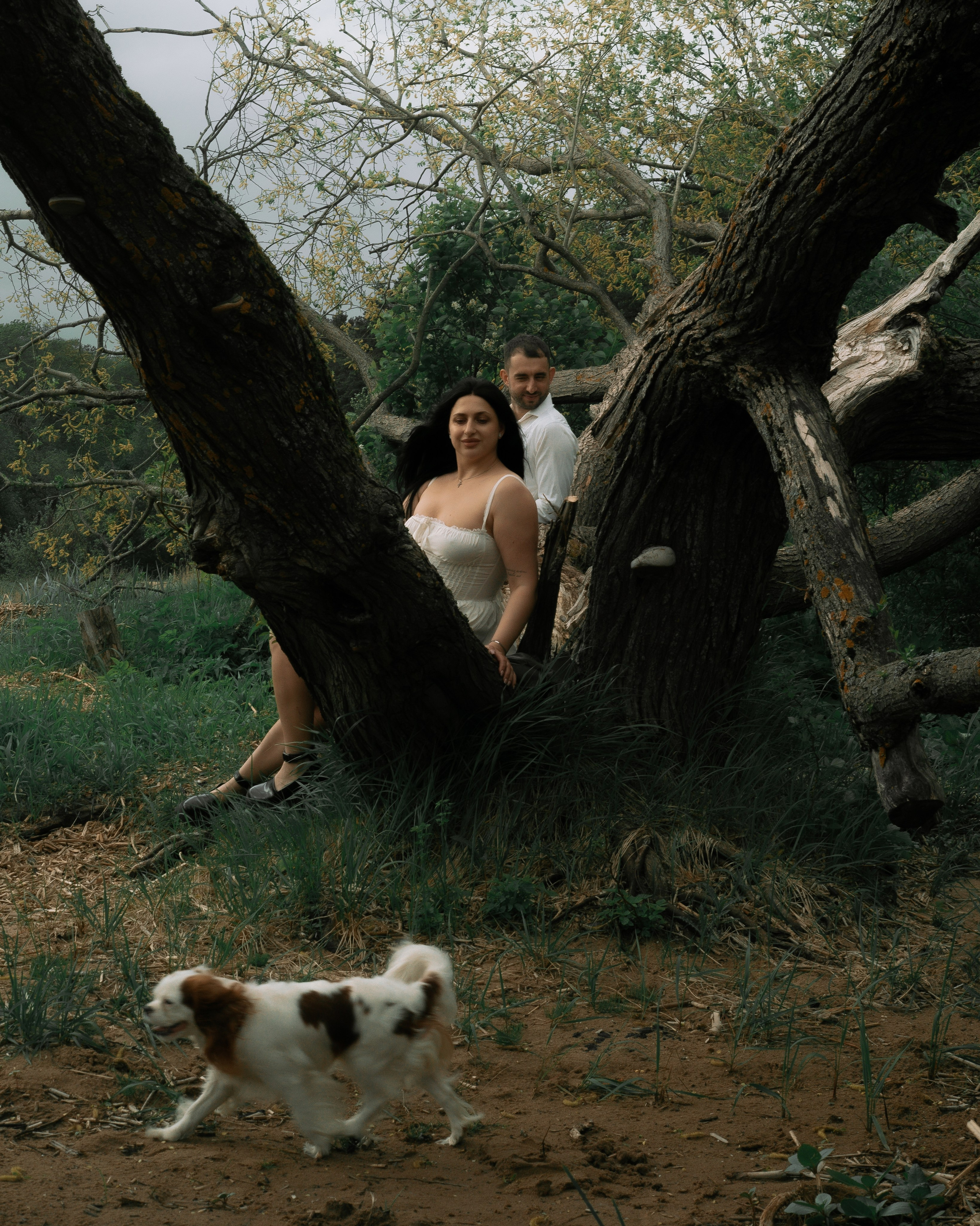 Свадебная прогулка с собакой. Свадебный фотограф в Санкт-Петербурге Миша Репина