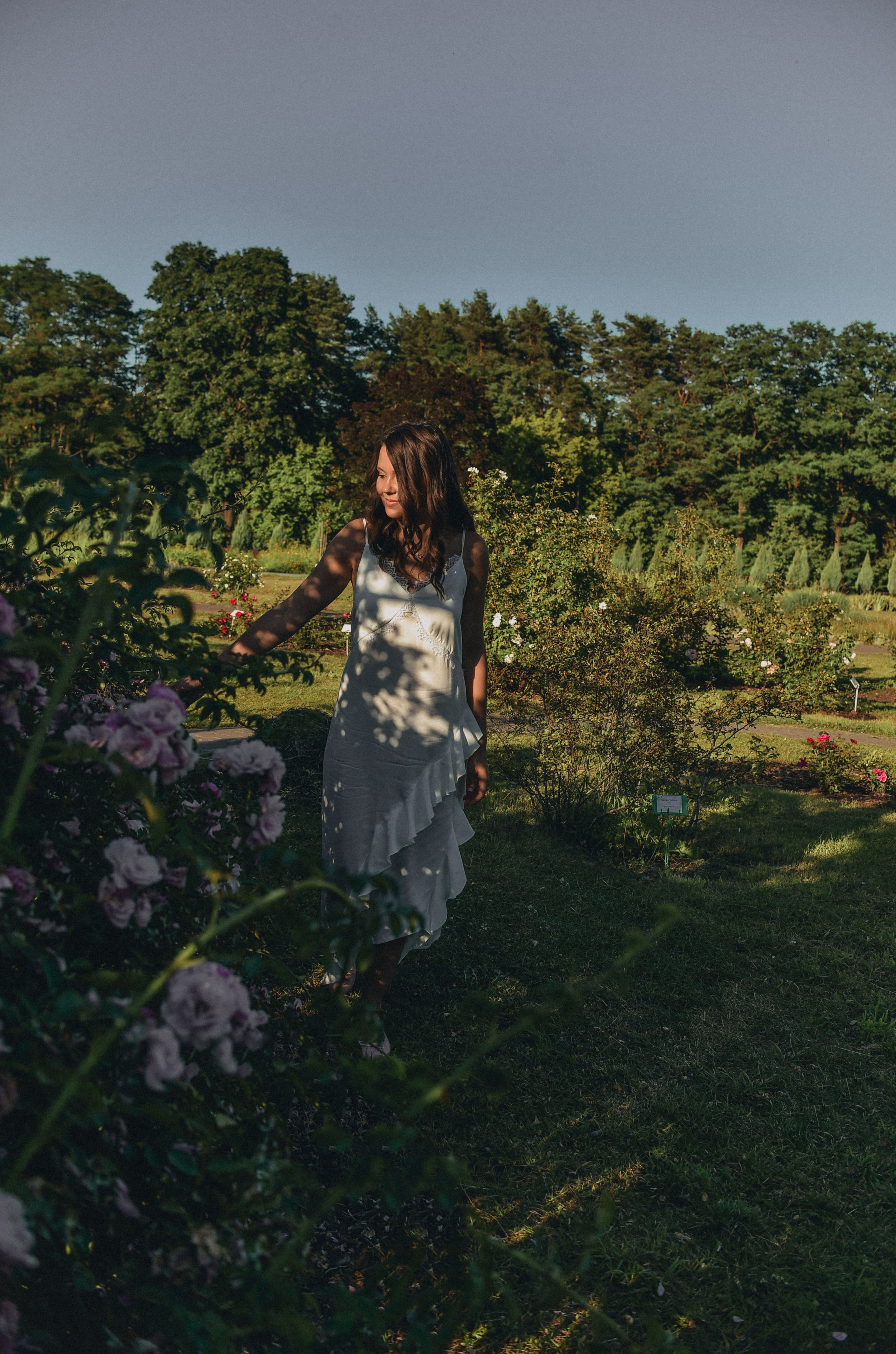 Розовая роща. Семейный фотограф Milena feel it