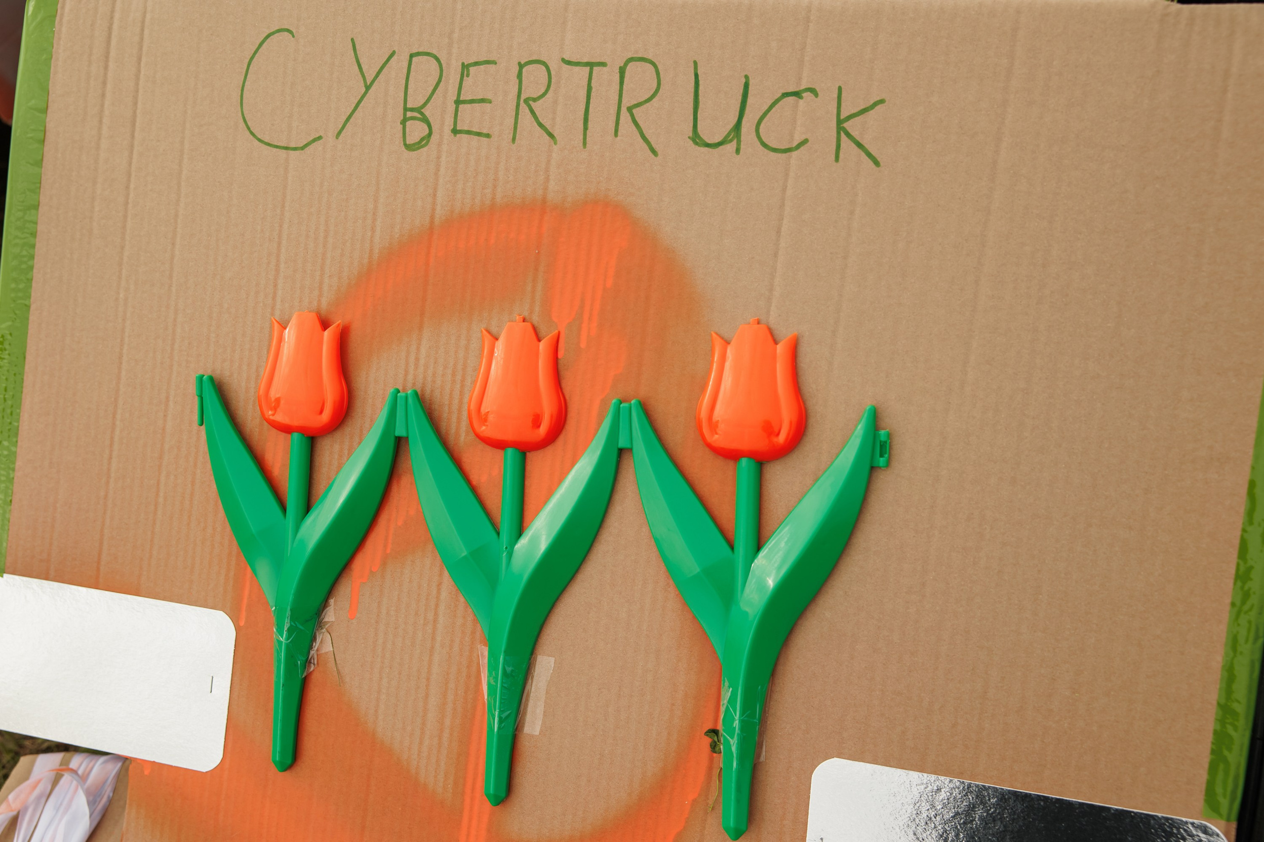 Тимбилдинг выезд. Репортажный фотограф. Москва. Алина Ланская