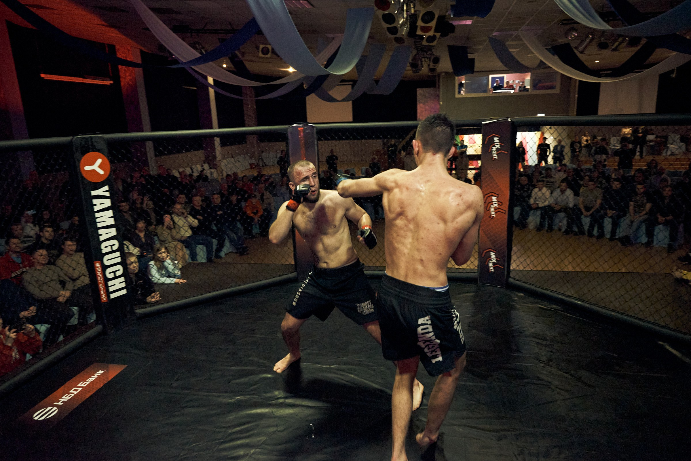 Бои. Маляревич Дмитрий свадебный фотограф