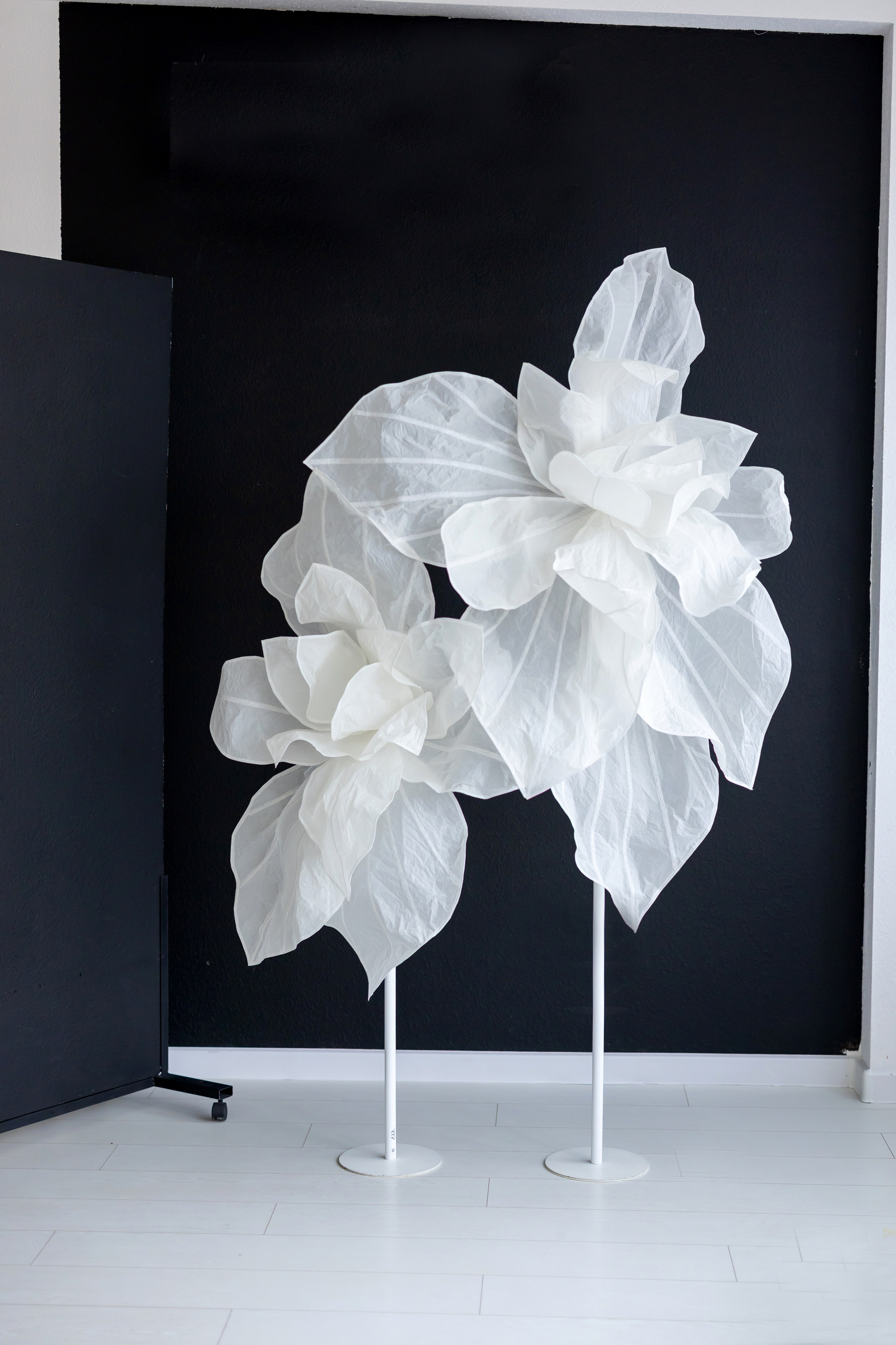 Фотостудия «AVOCADO» зал вайт. Свадебный фотограф в Ростове Александра Груздева