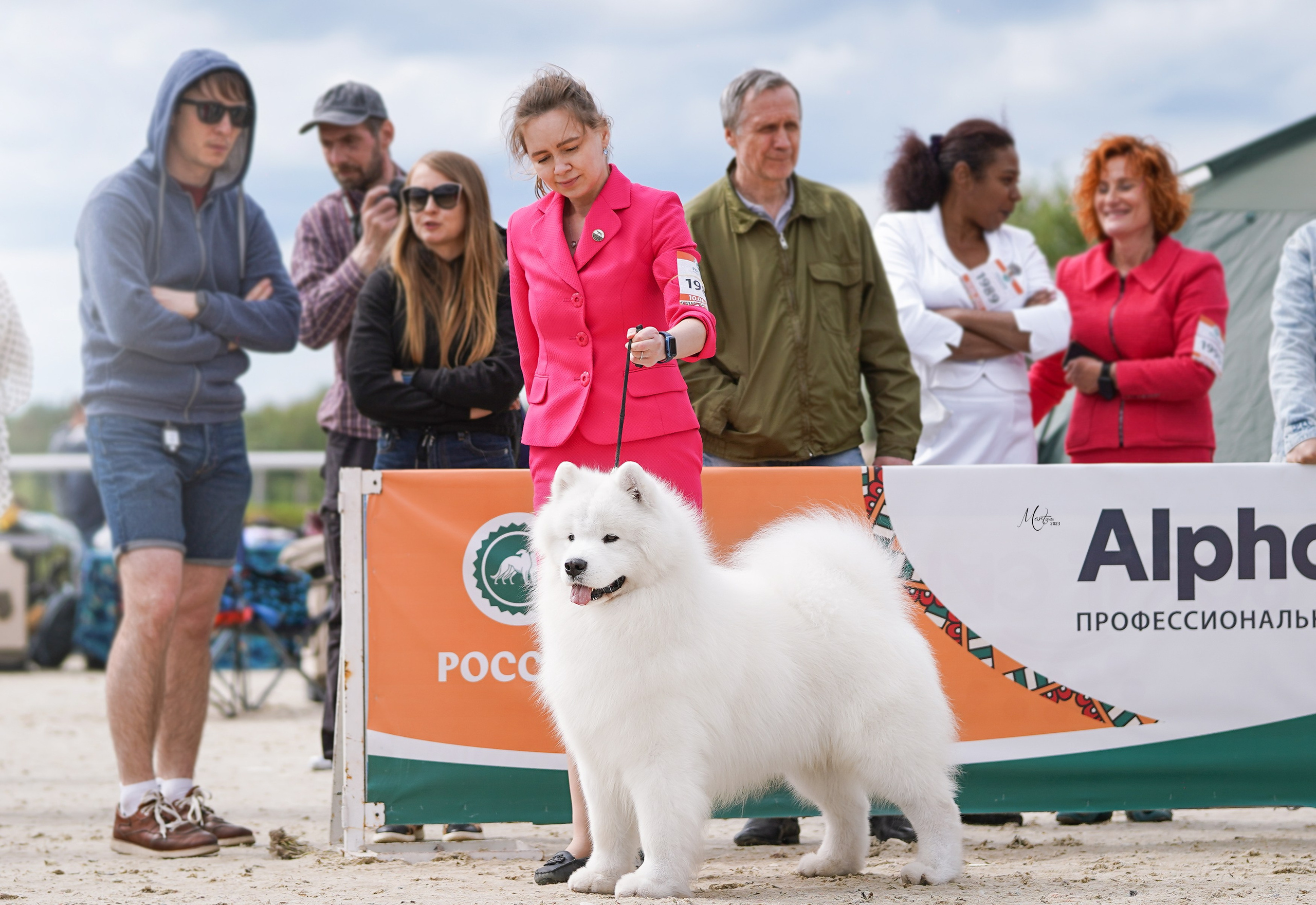 Выставки 2023. Фотограф-анималист в Санкт-Петербурге Яна Мартынова