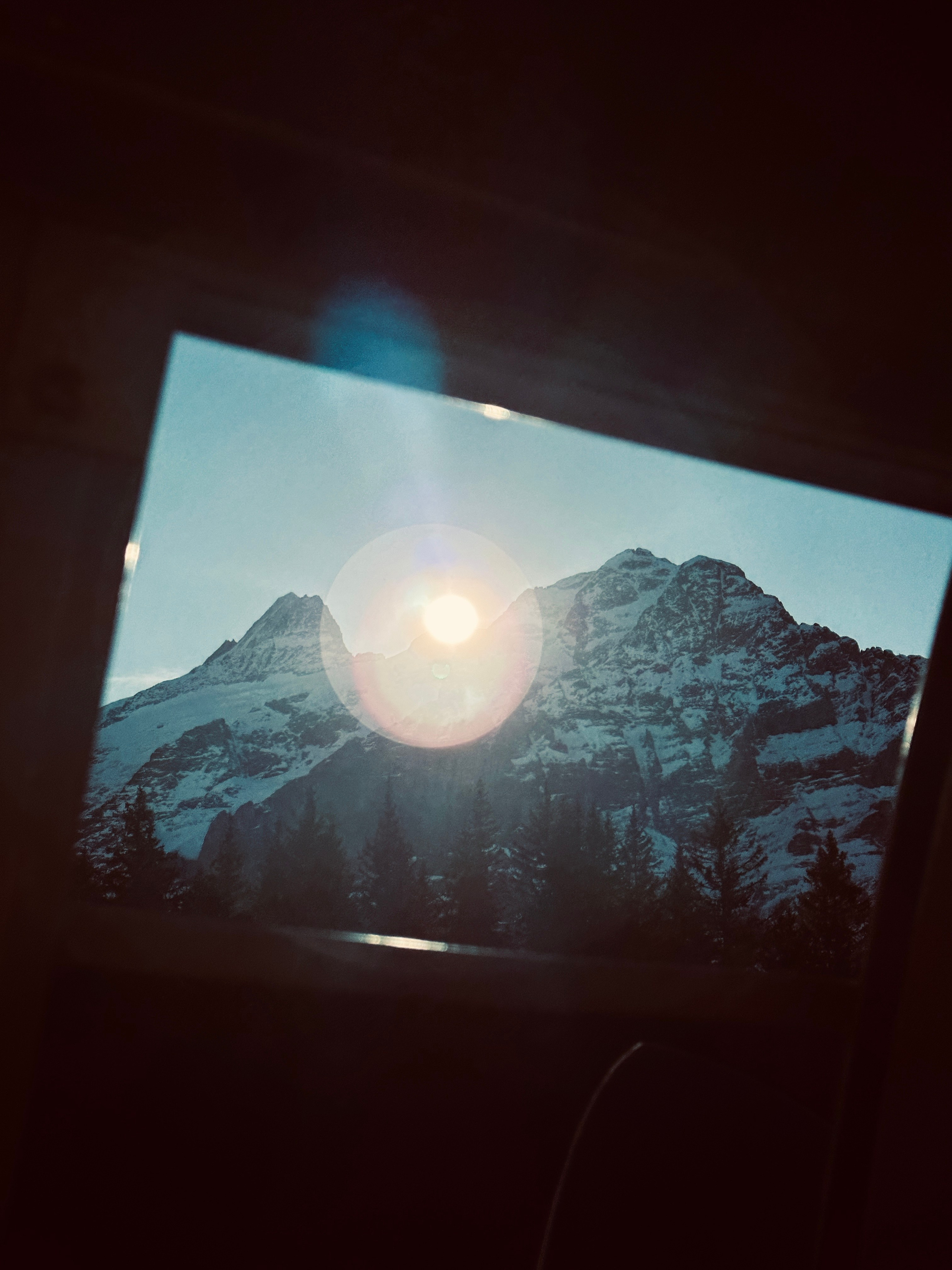 Grindelwald. Фотограф в Москве