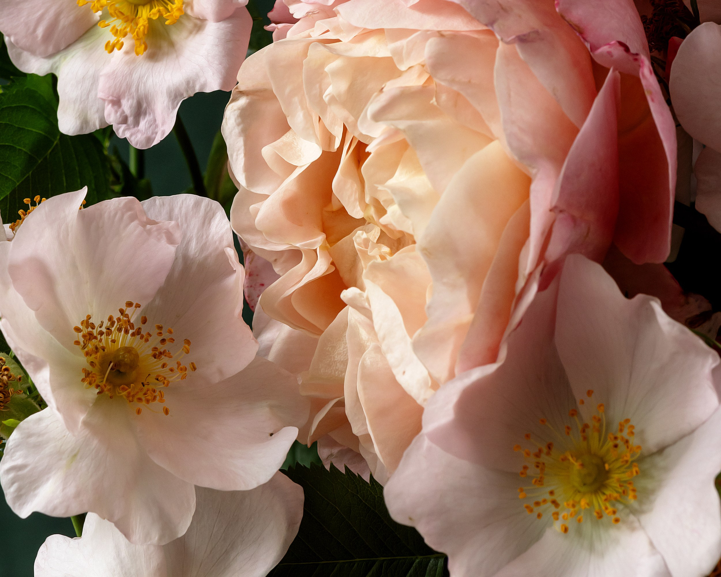 Silk Nectar. Author’s fine art prints with international delivery