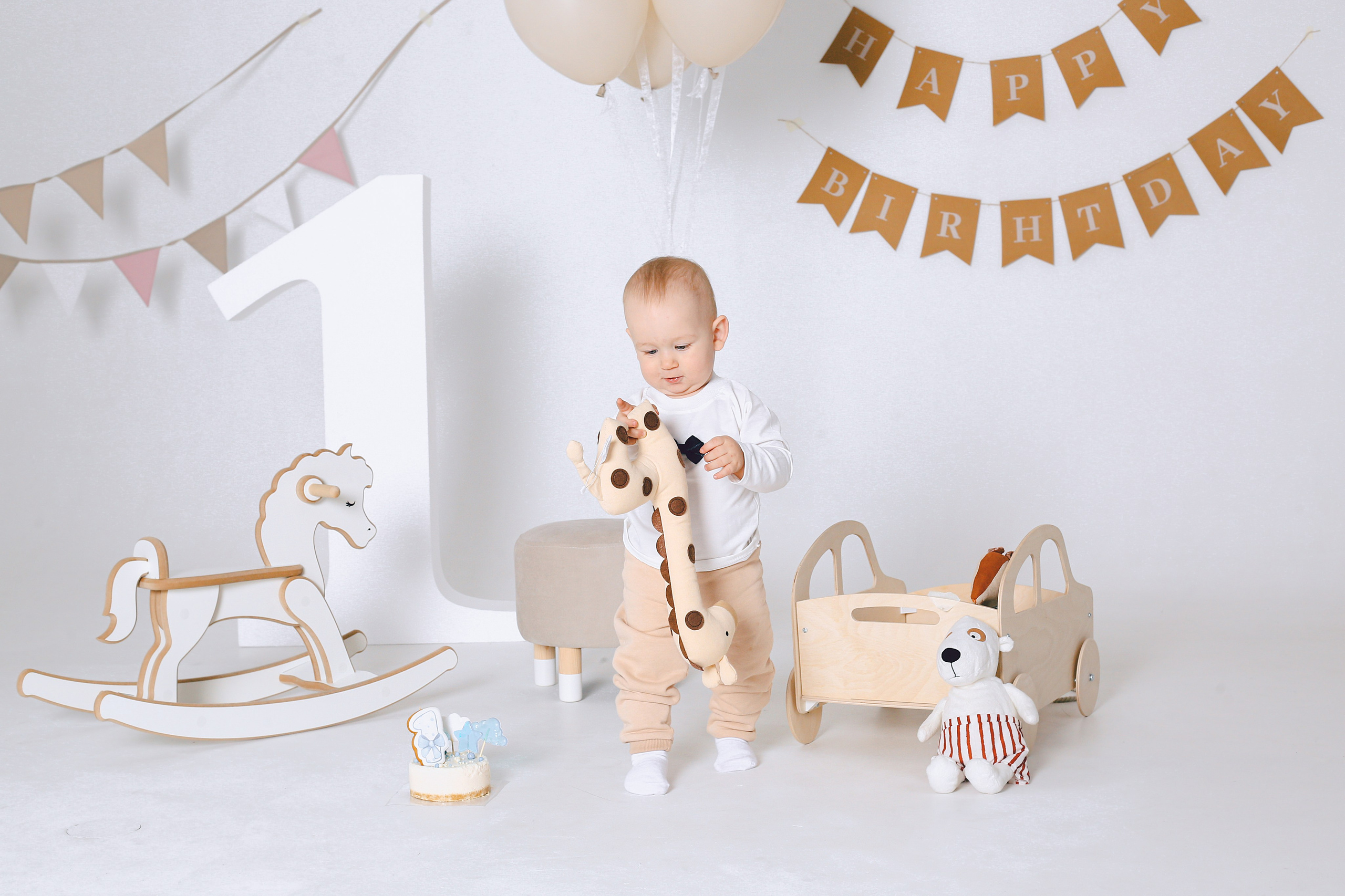 1 годик Льву. Фотограф Анастасия Залевская