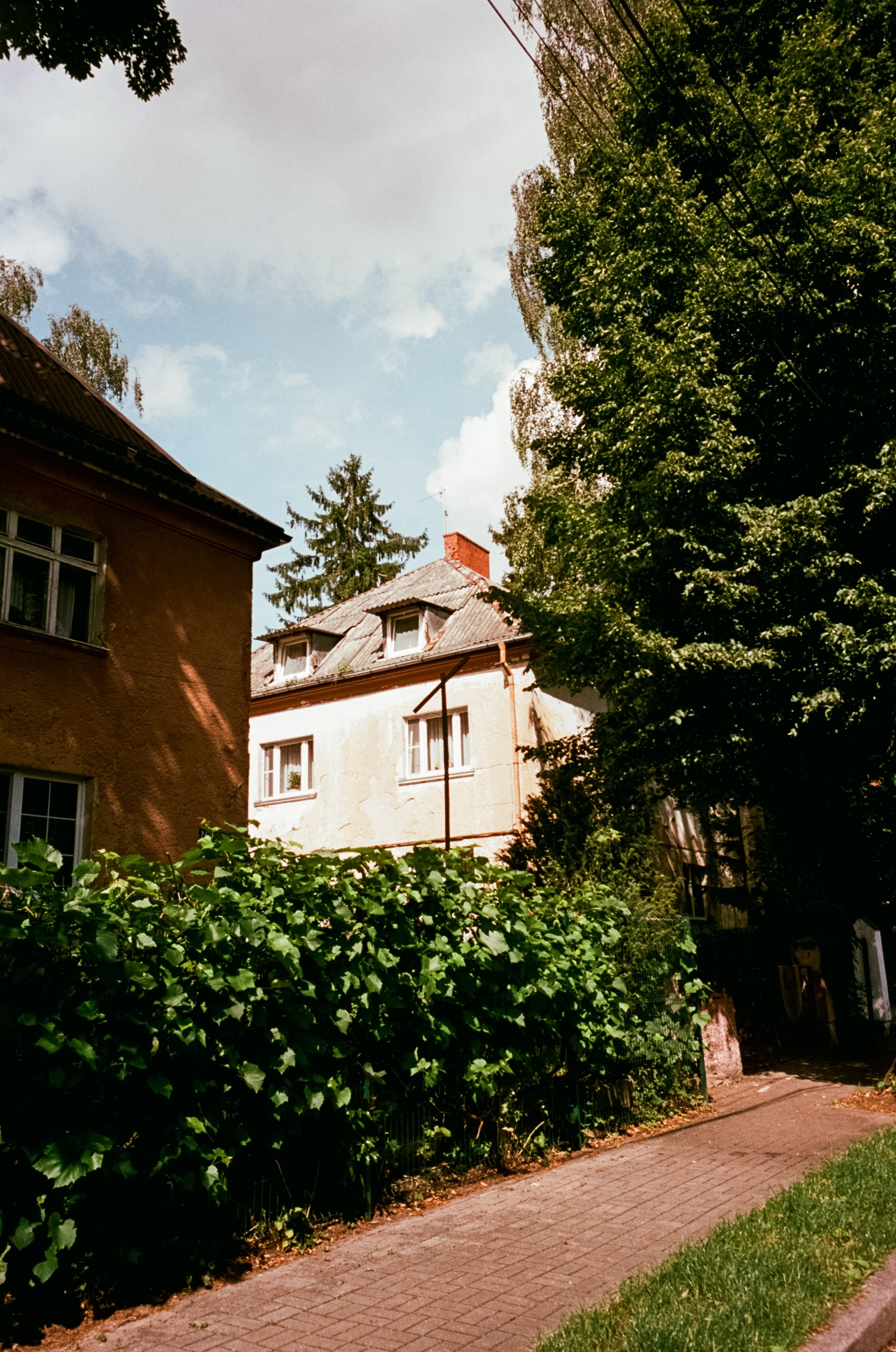 Калининградский стрит. Амалиенау, пруд Поплавок и старые улочки. Фотограф-документалист Мария Осокина