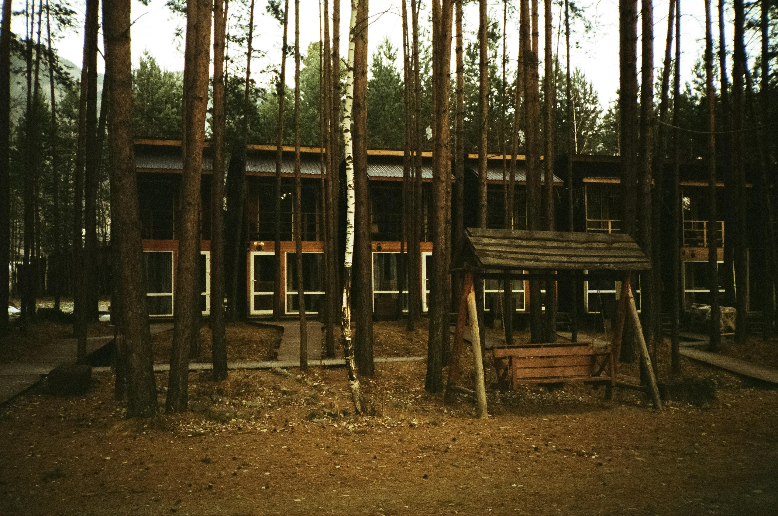 Дорога в сторону Сада Пионов, база Сила Алтая / 15 — 16 декабря 2023 г