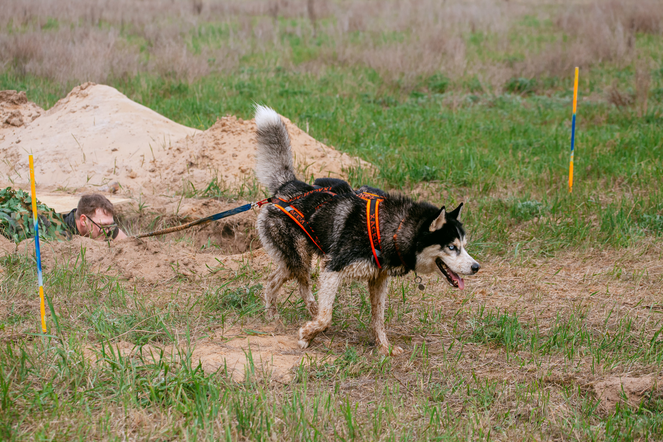 Русский экстрим кросс в Рязанской области 17.05.2025. Фотограф-анималист Татьяна Степанова