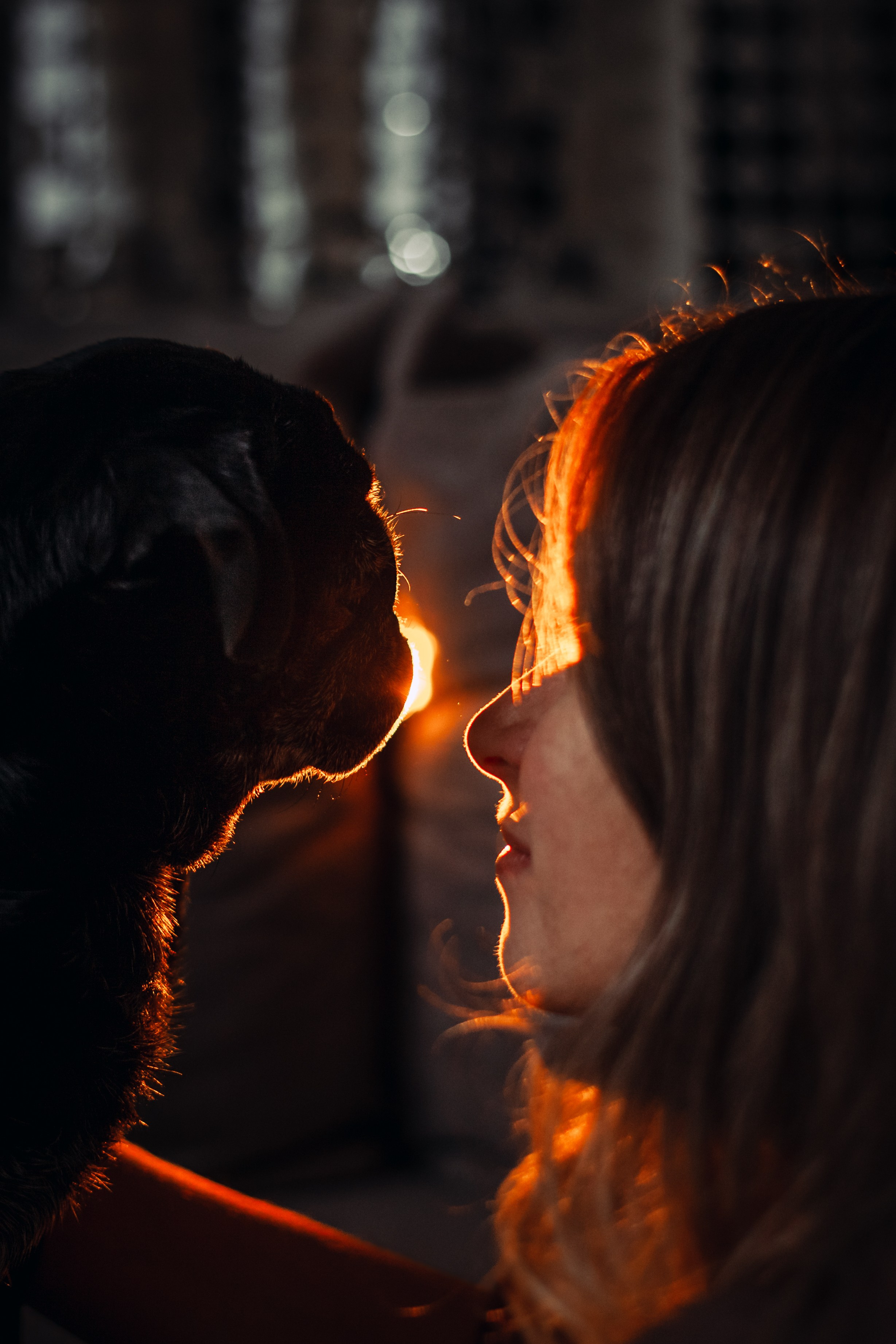 Оля, Харви, Луис. Фотограф-анималист Татьяна Степанова