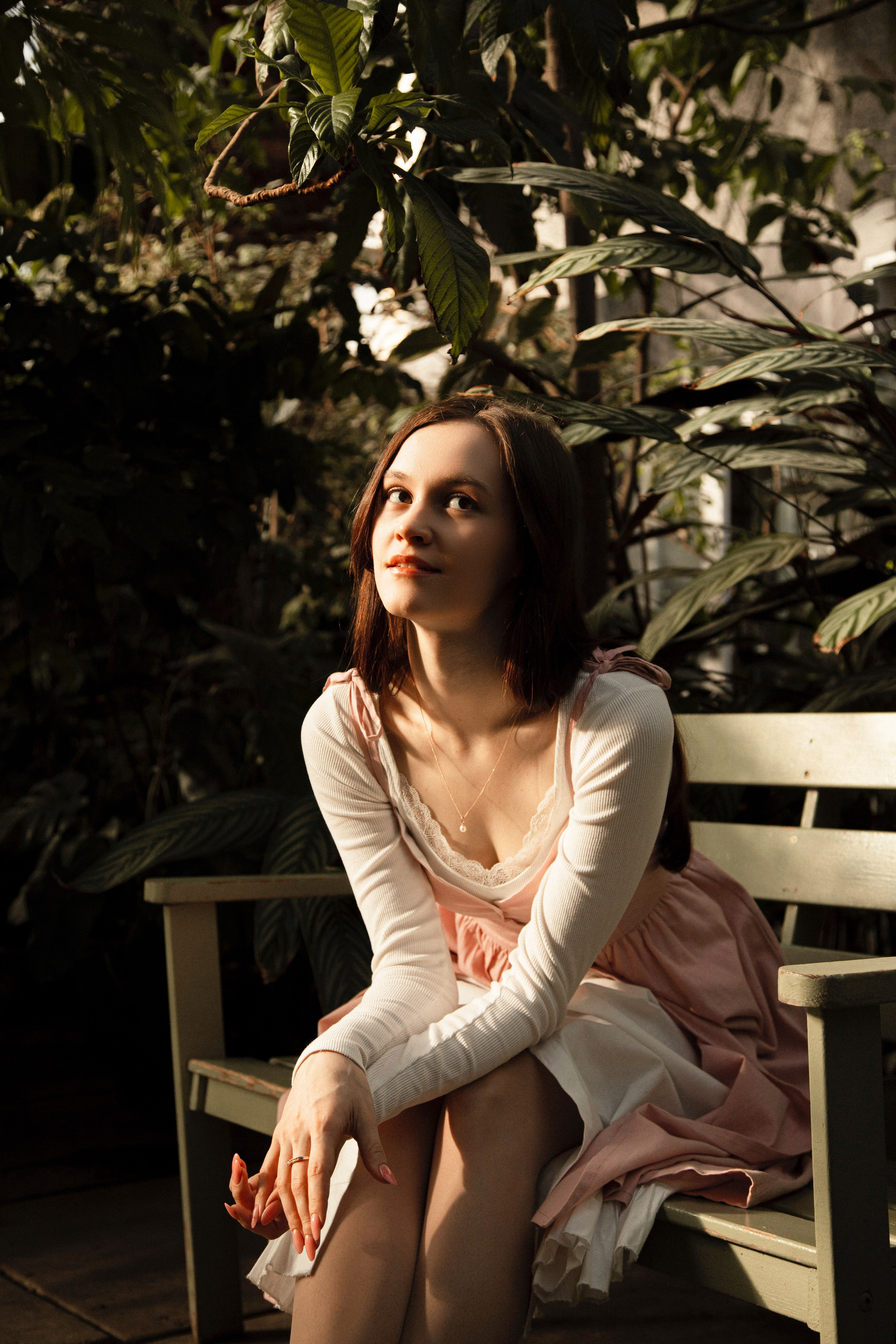 Оранжерея Таврического сада