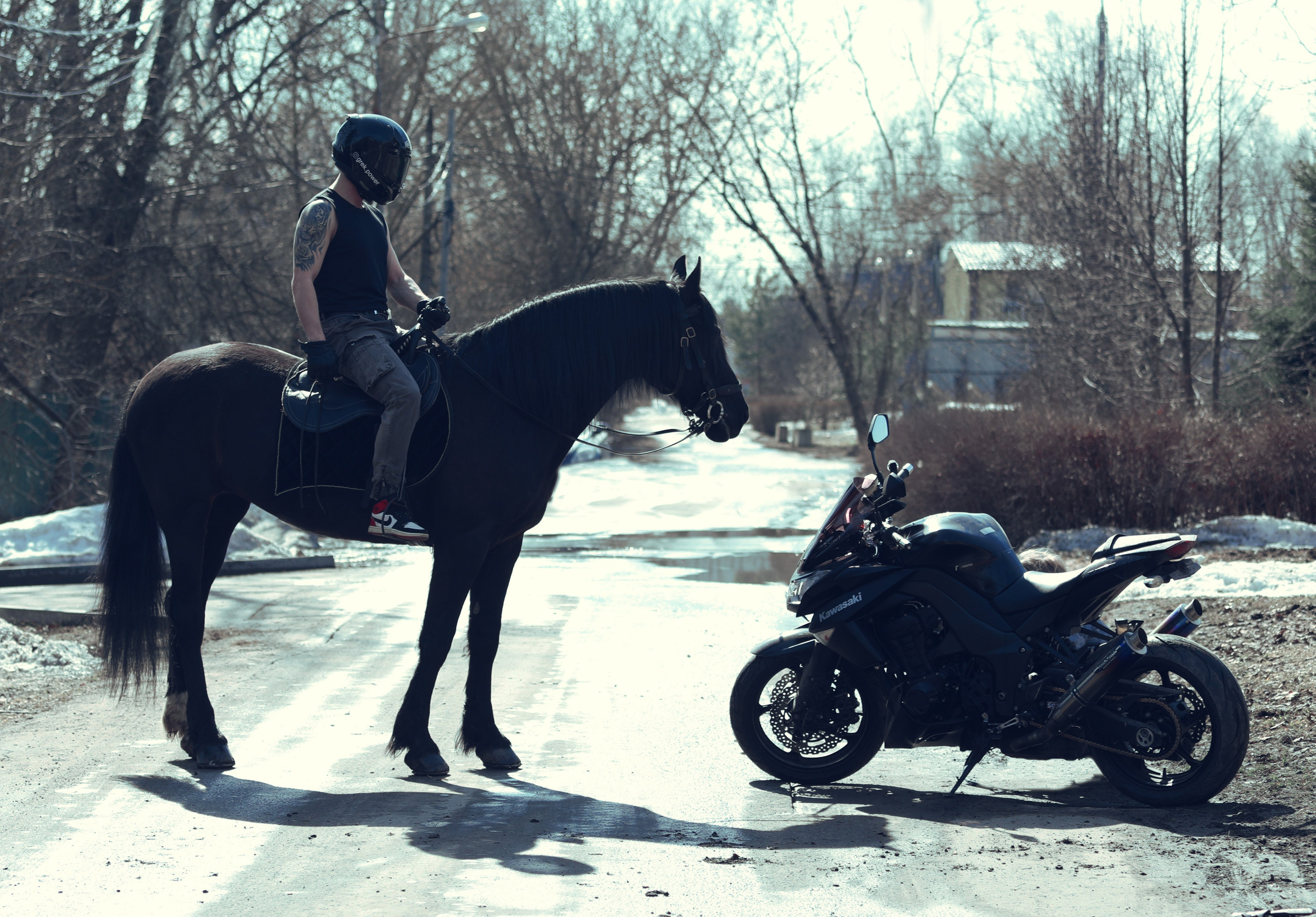 Фотосессии с лошадью. Фотосессия с лошадьми