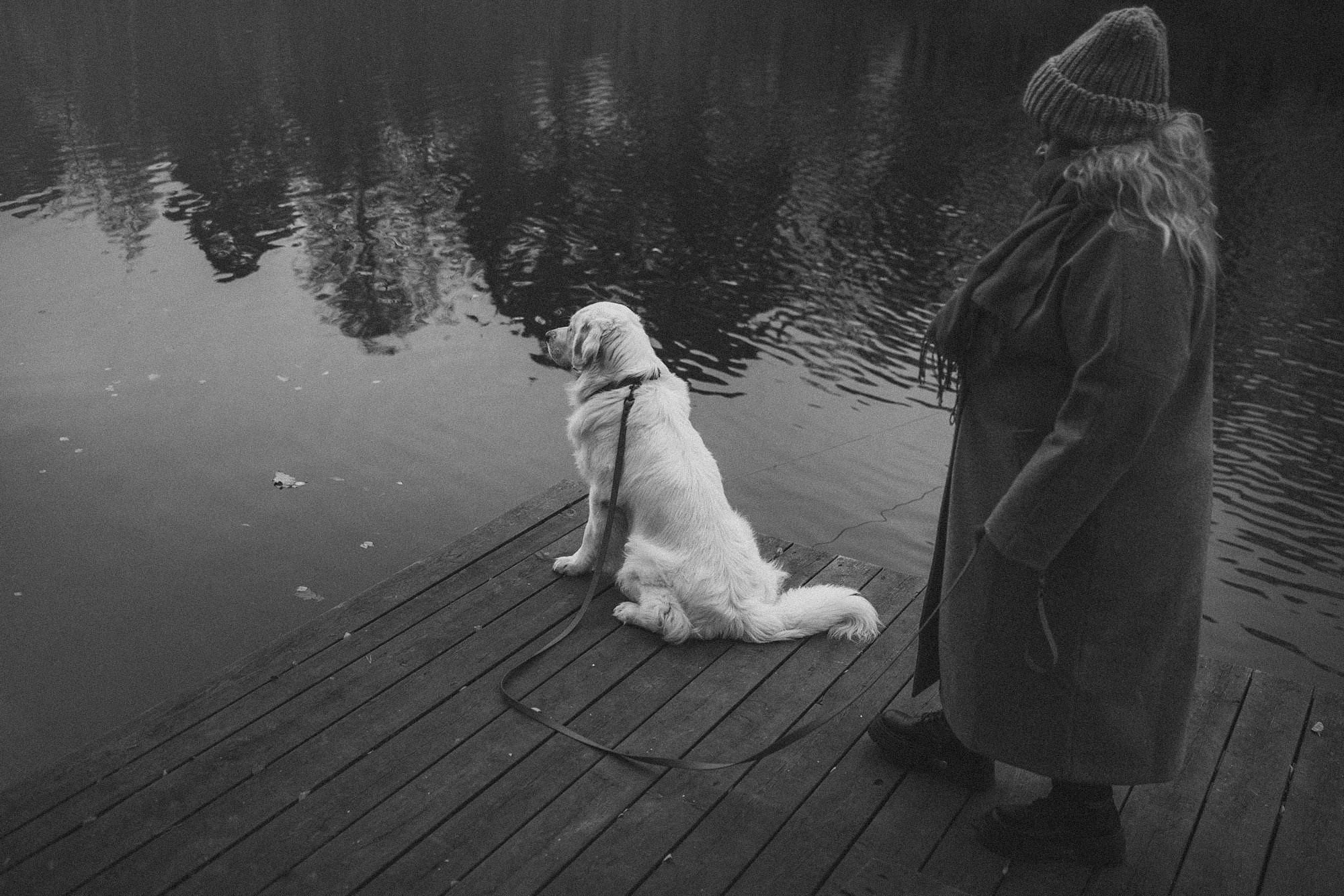 Лена и Мерлин. Фотограф анималист в Москве и Санкт-Петербурге Свиридова Анна