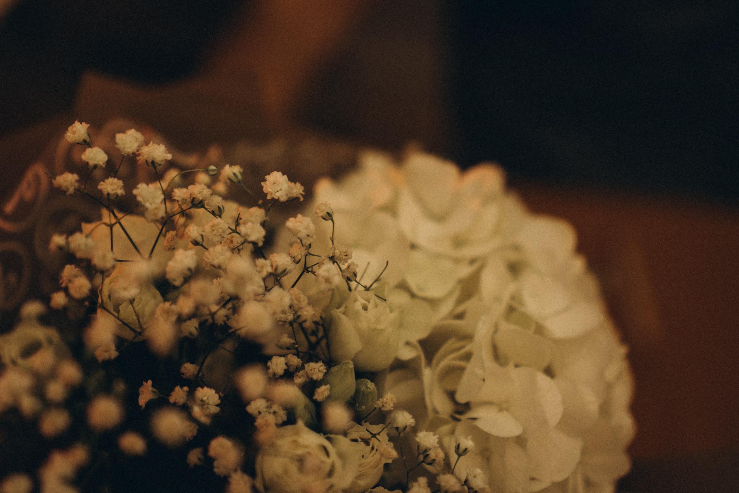 ЛЕПКАРНЯ. Профессиональный фотограф, Санкт-Петербург — Виктория Богомолова