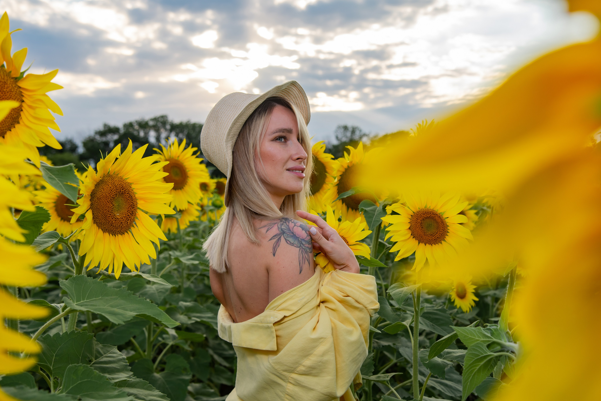 Подсолнух. Фотограф Галина Нестерова