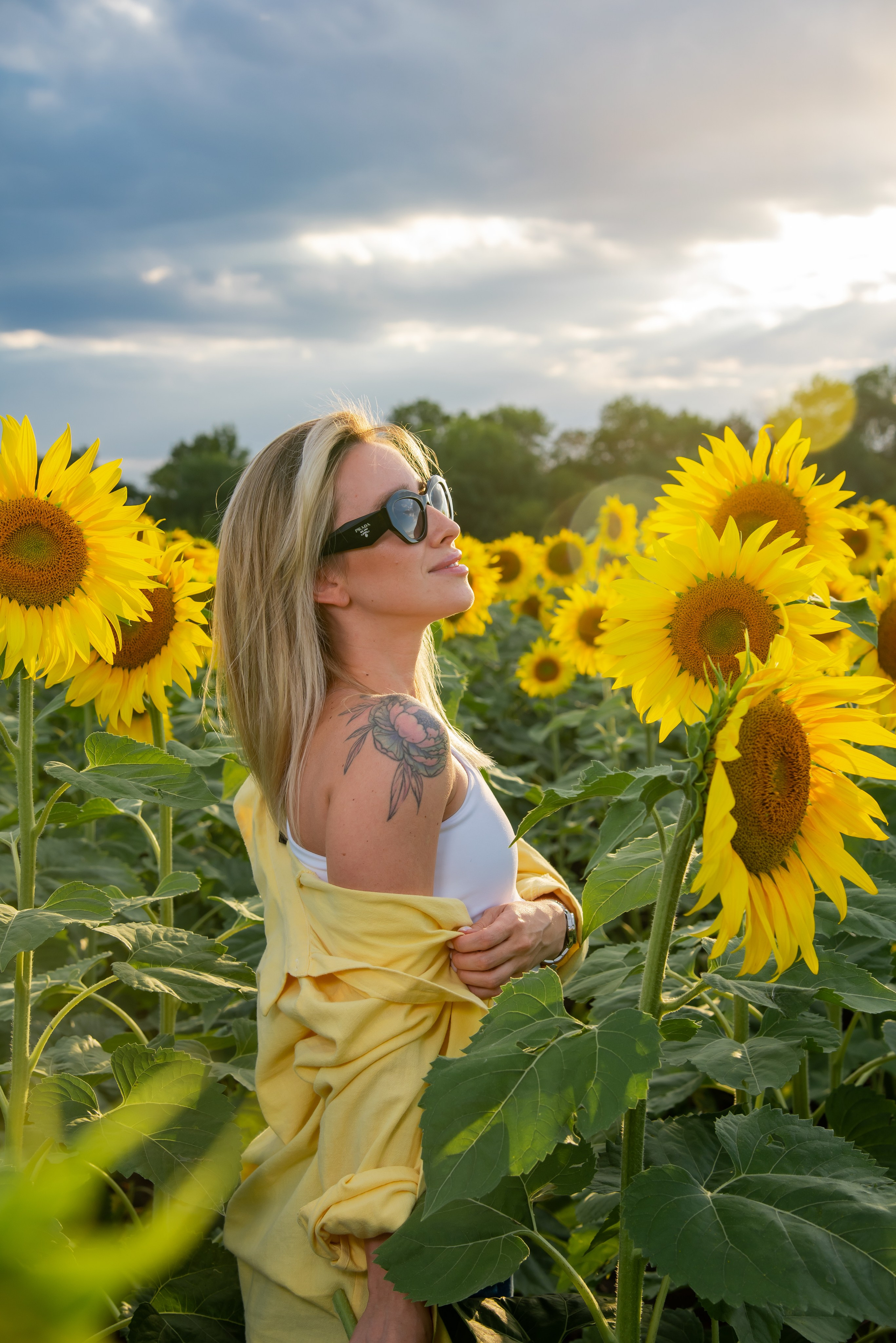 Подсолнух. Фотограф Галина Нестерова