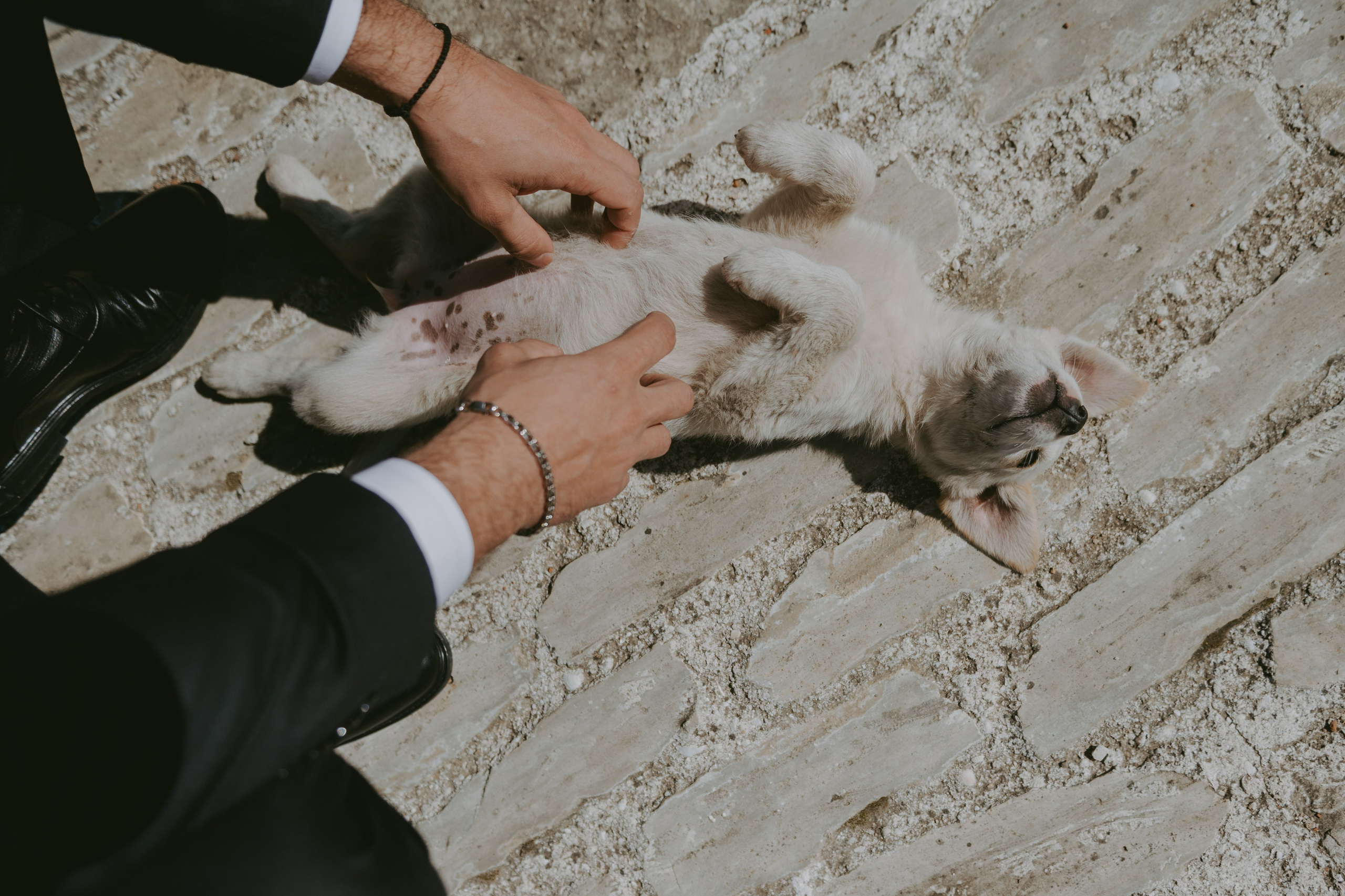 Елизавета$Дмитрий. Свадебный и семейный фотограф город Темрюк Фотостудия Темрюк