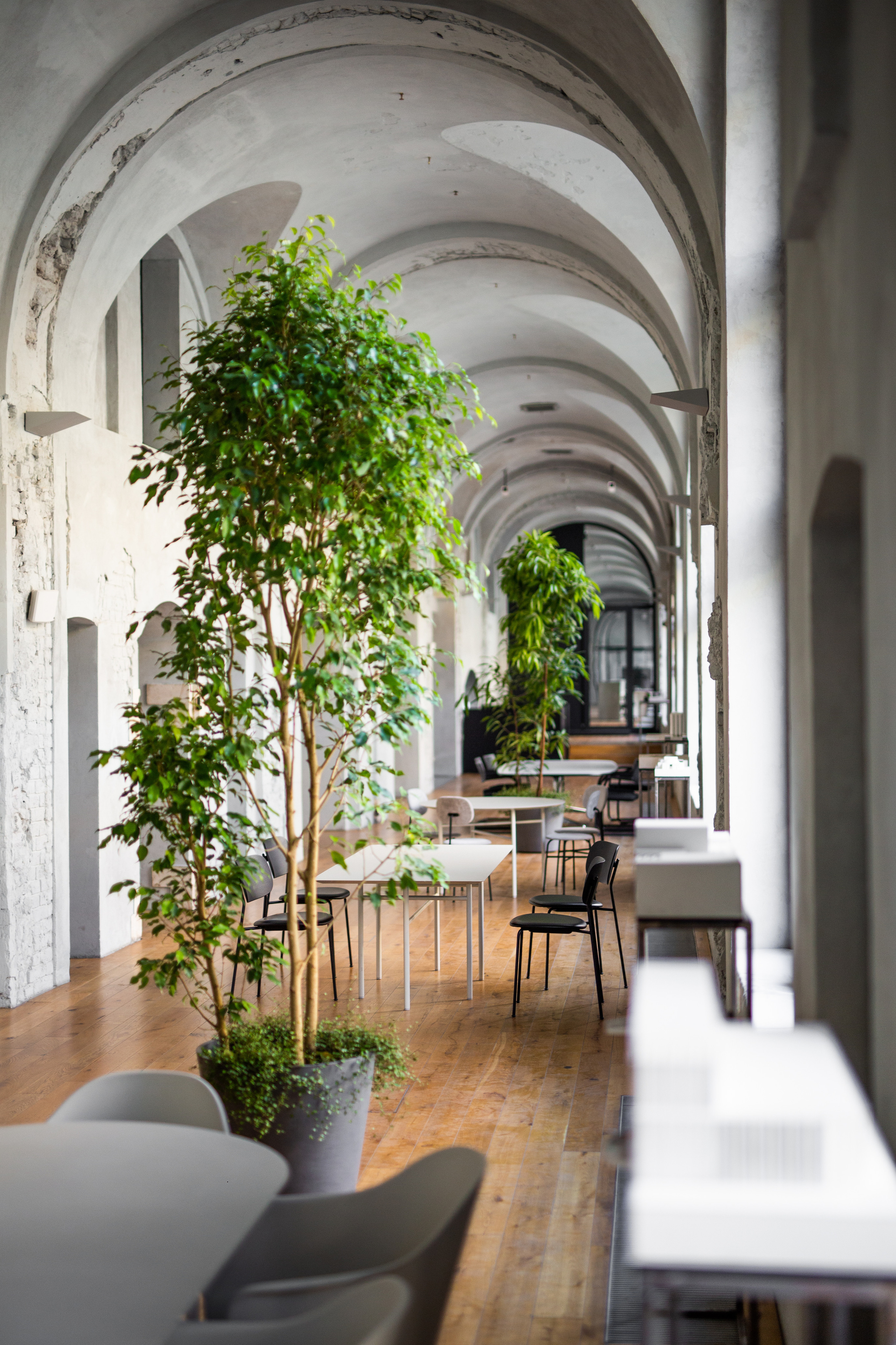 Фотограф Евгений Курапов