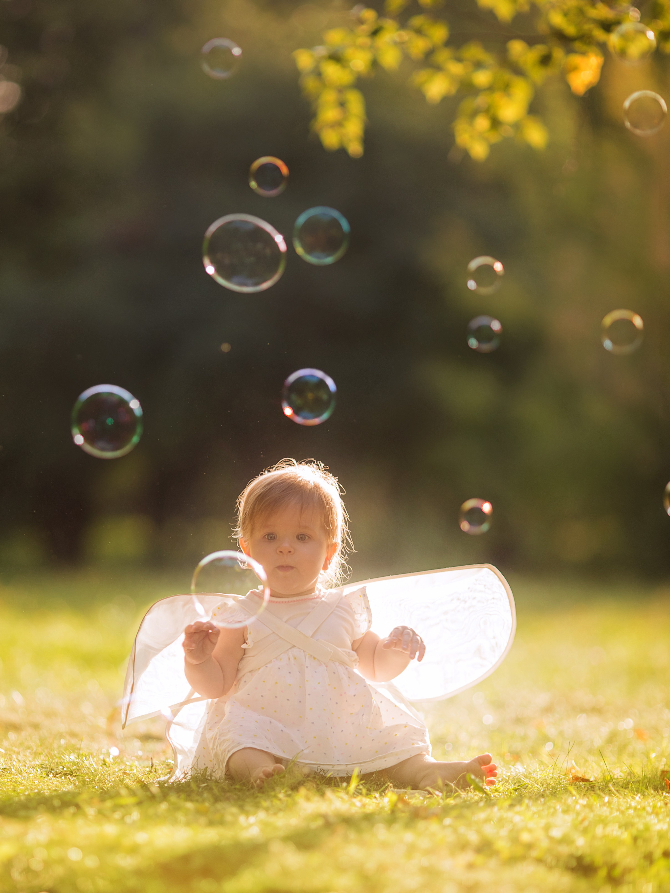 אביב. צלם ואמן ילדים ומשפחה