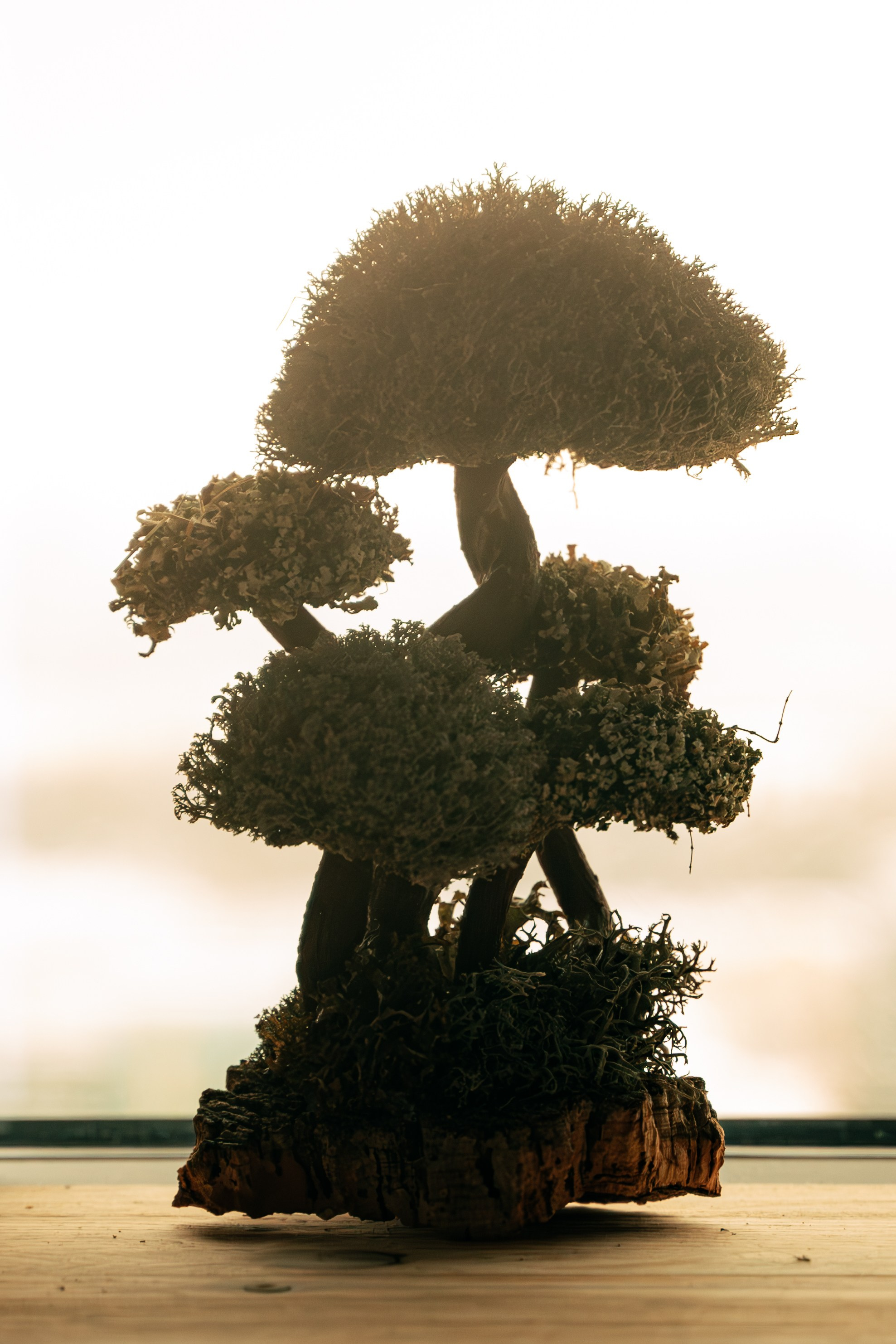 Индивидуальная съёмка для Айдара Гафурова. Фотограф/видеограф Богдан Голованов