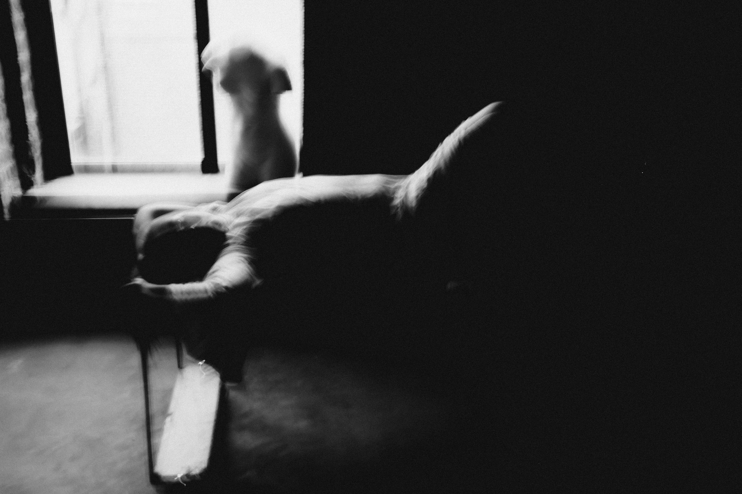 ХЕЛЬГА. Фотограф Елена Богачева (lenalena_na_na_na)