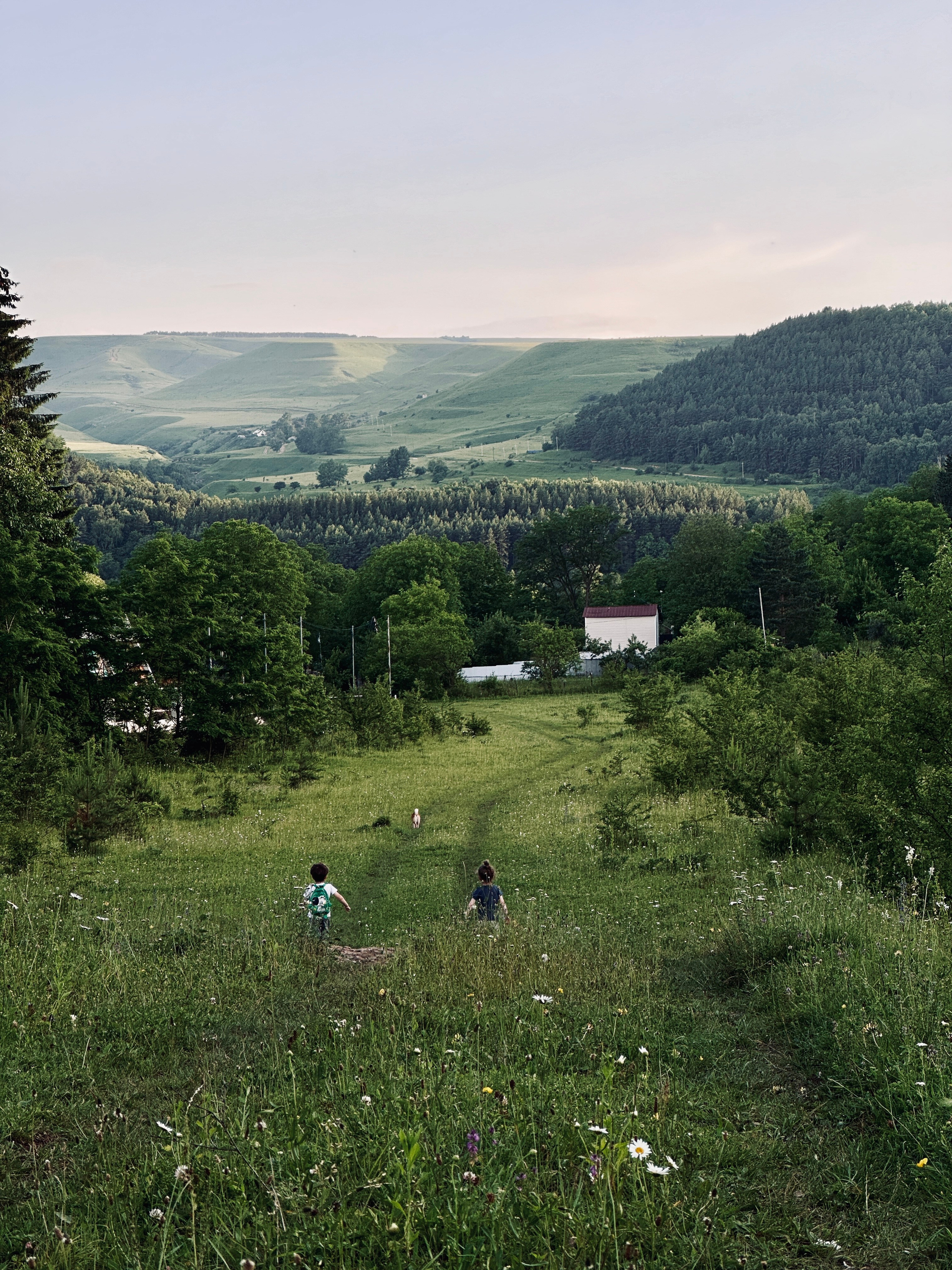 Дети. Смотри, красота!