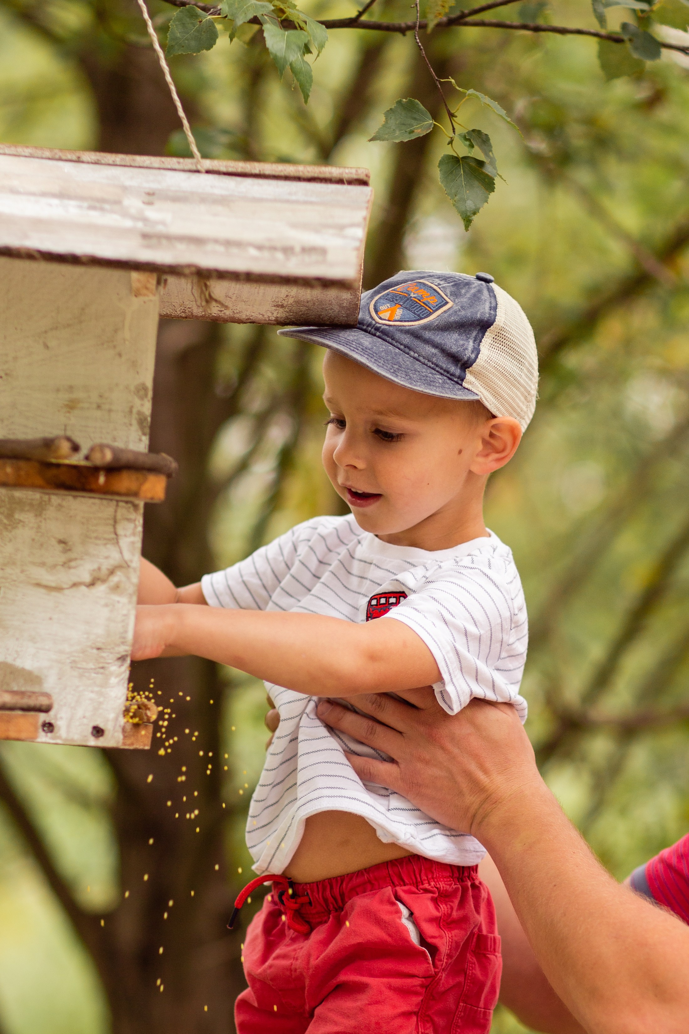 Семейная прогулка в парке. Семейный фотограф Фрязино Зрячева Кристина