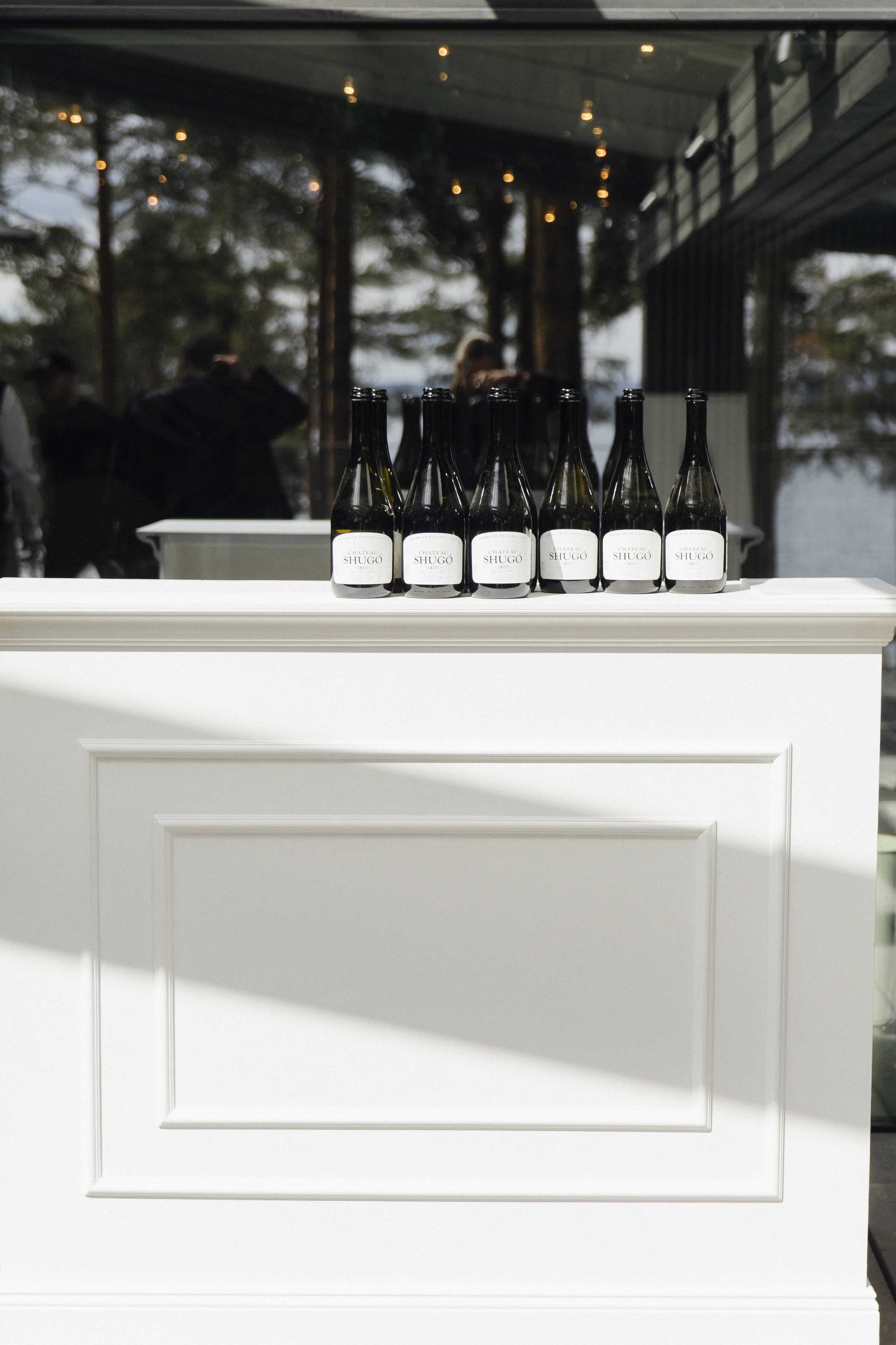 WEDDING DAY. Брысина Алёна/ фотограф Петрозаводск, Карелия