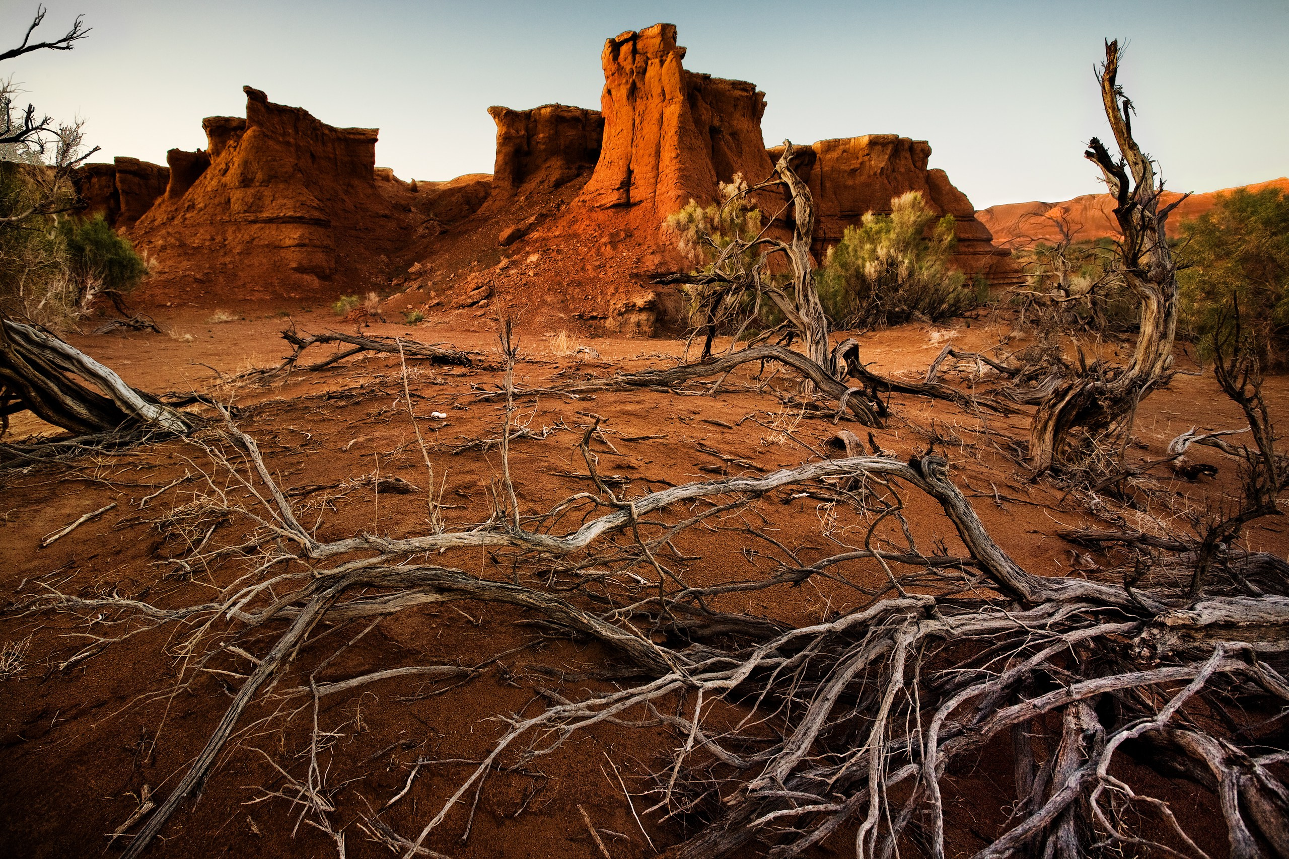 Монголия. Фотограф Владимир Медведев