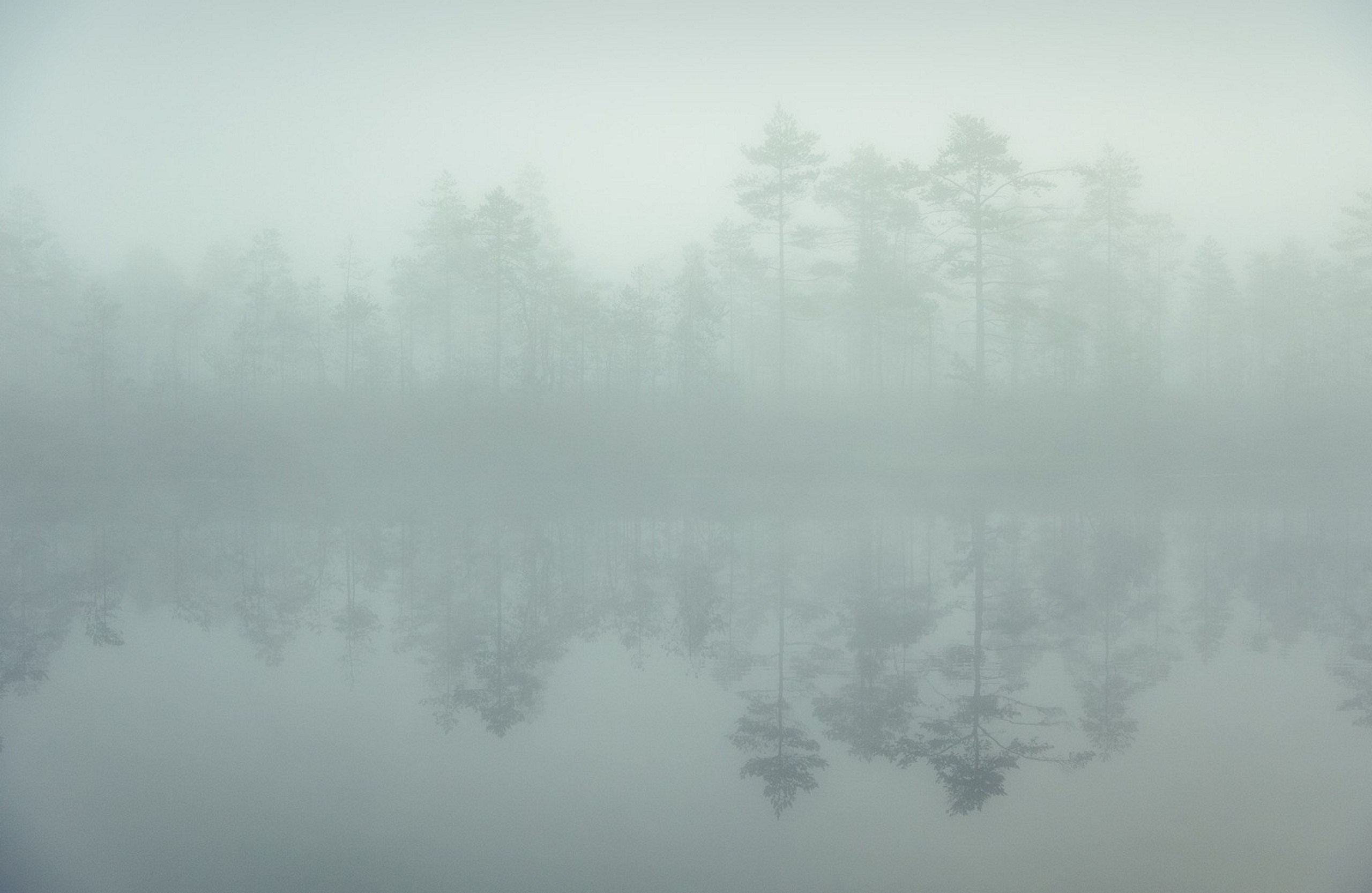 Карельский Перешеек. Фотограф Владимир Медведев