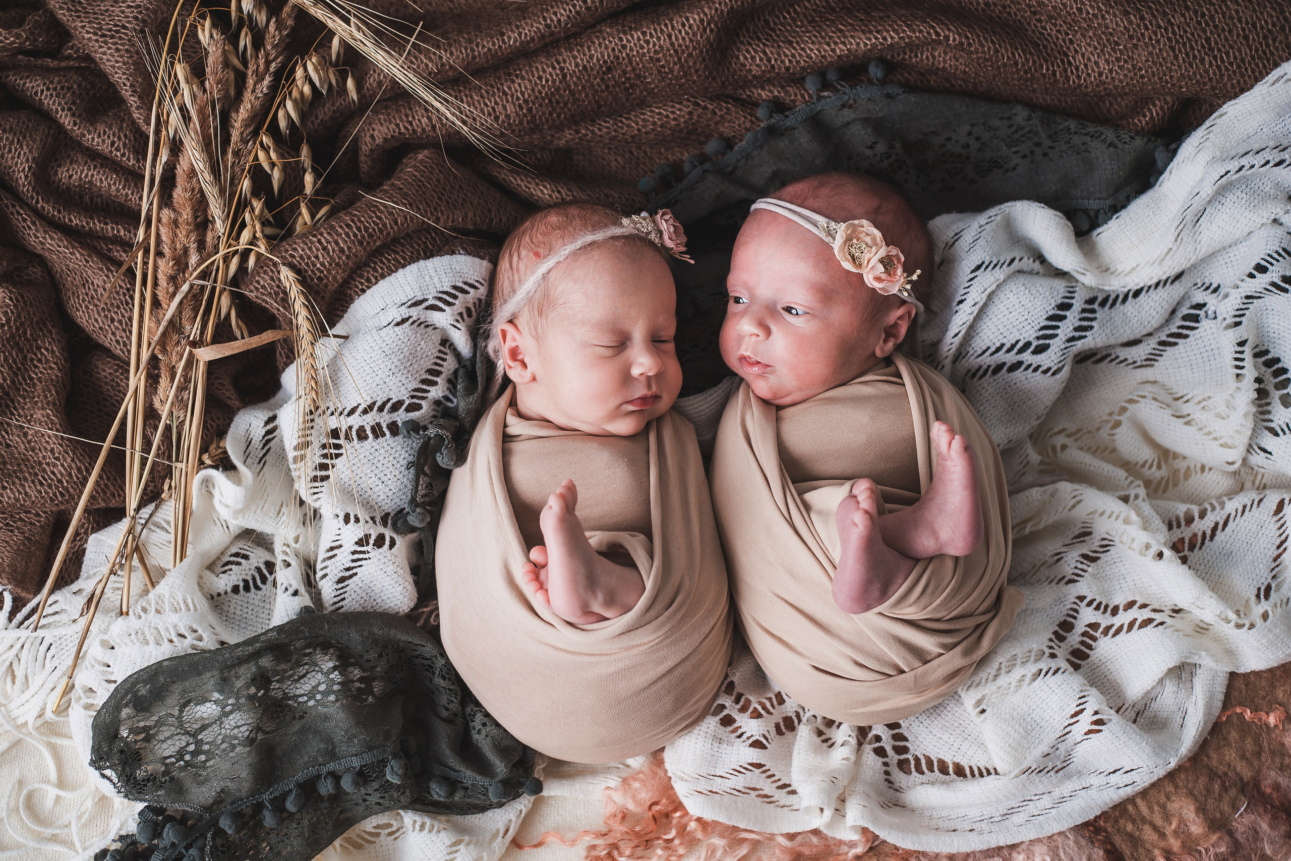 Таисия и Есения, пакет «Стандарт», 21 день. Фотограф новорождённых Екатерина Боброва. Ульяновск