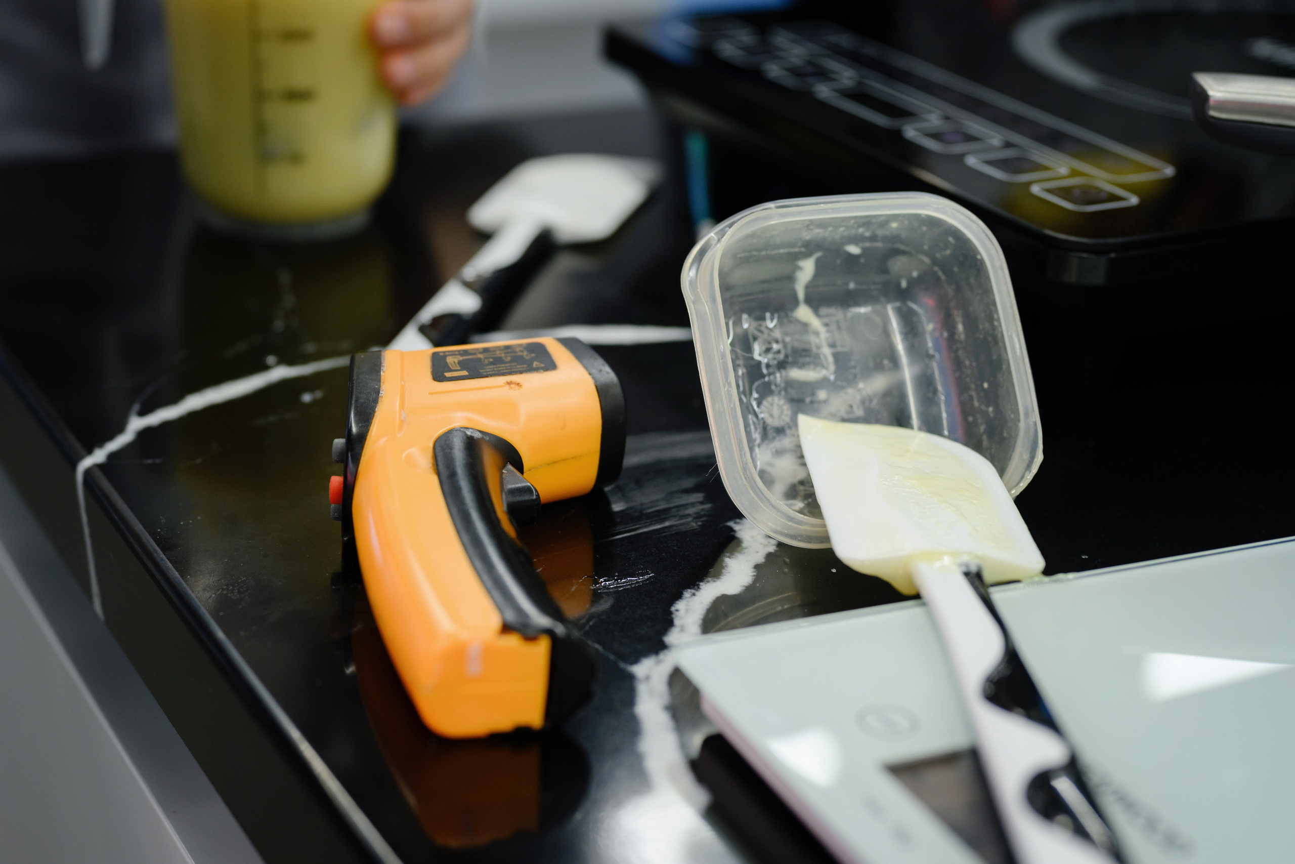 Kenwood. Семейный фотограф и анималист в Москве и Московской области