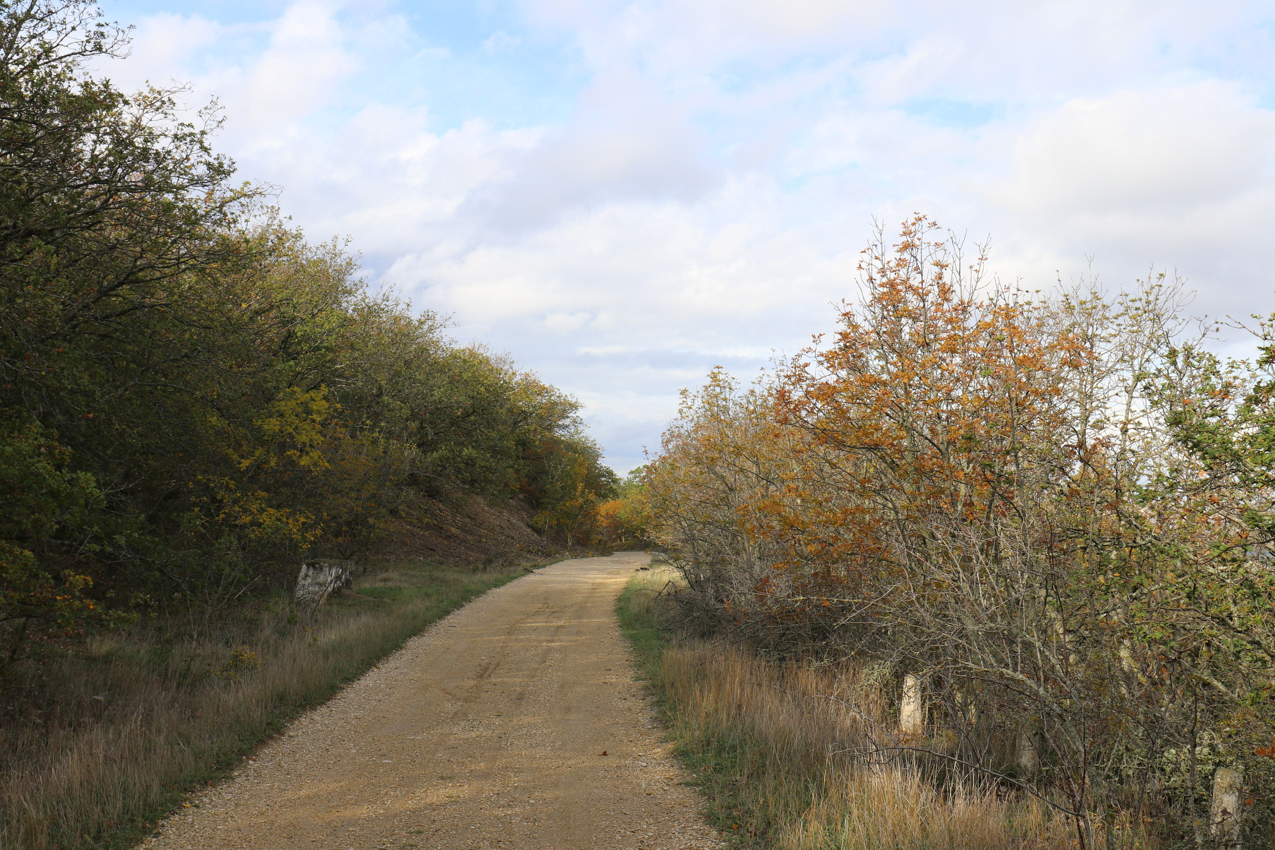 Крым. ЮБК (Судак, Карадаг). Ноябрь 2020. Путешественник-фотограф из Санкт-Петербурга Татьяна Свистулина