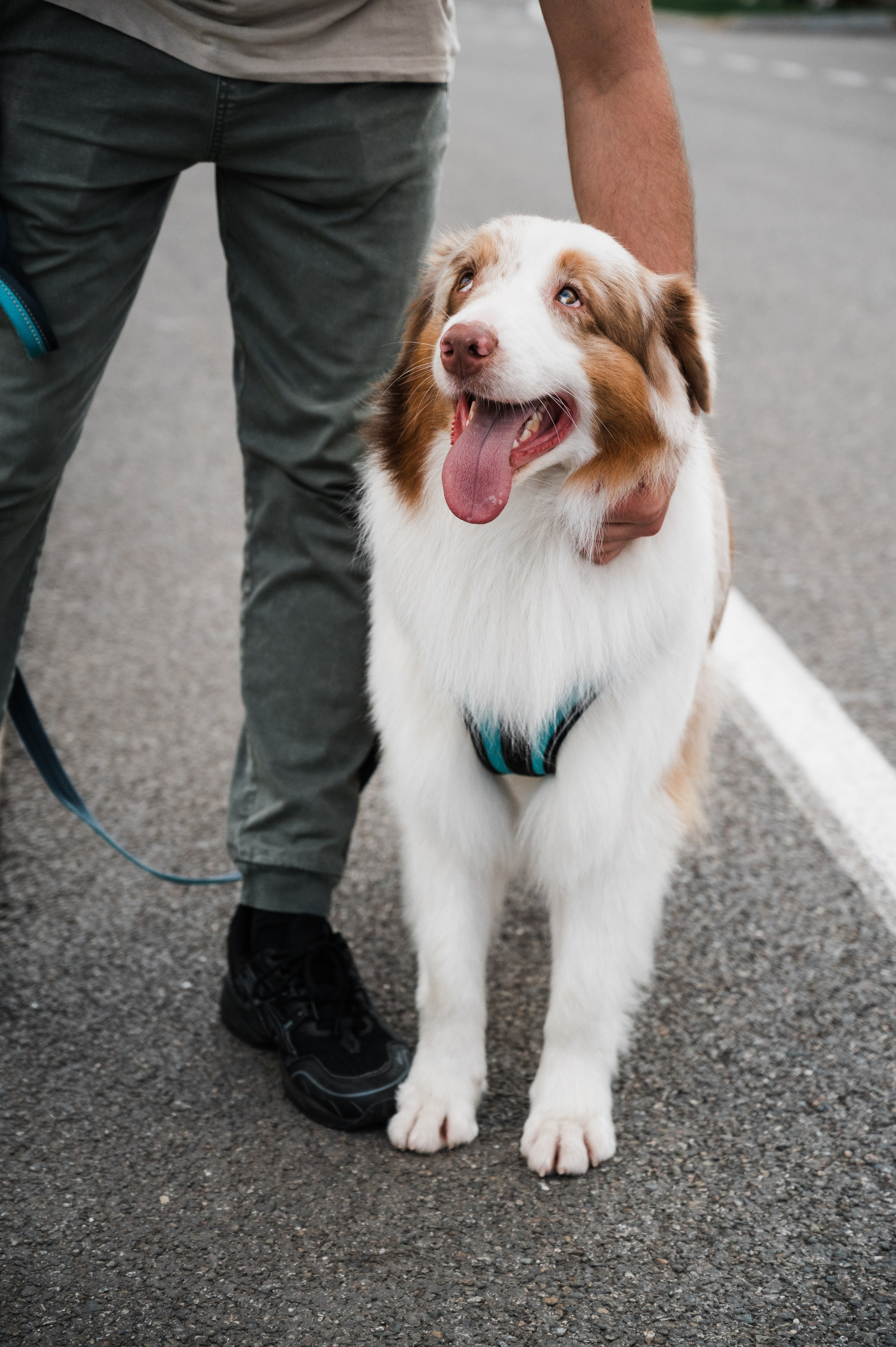 Фотосессия Красная Поляна. Свадебный и семейный фотограф в Краснодаре Марина Стёпа