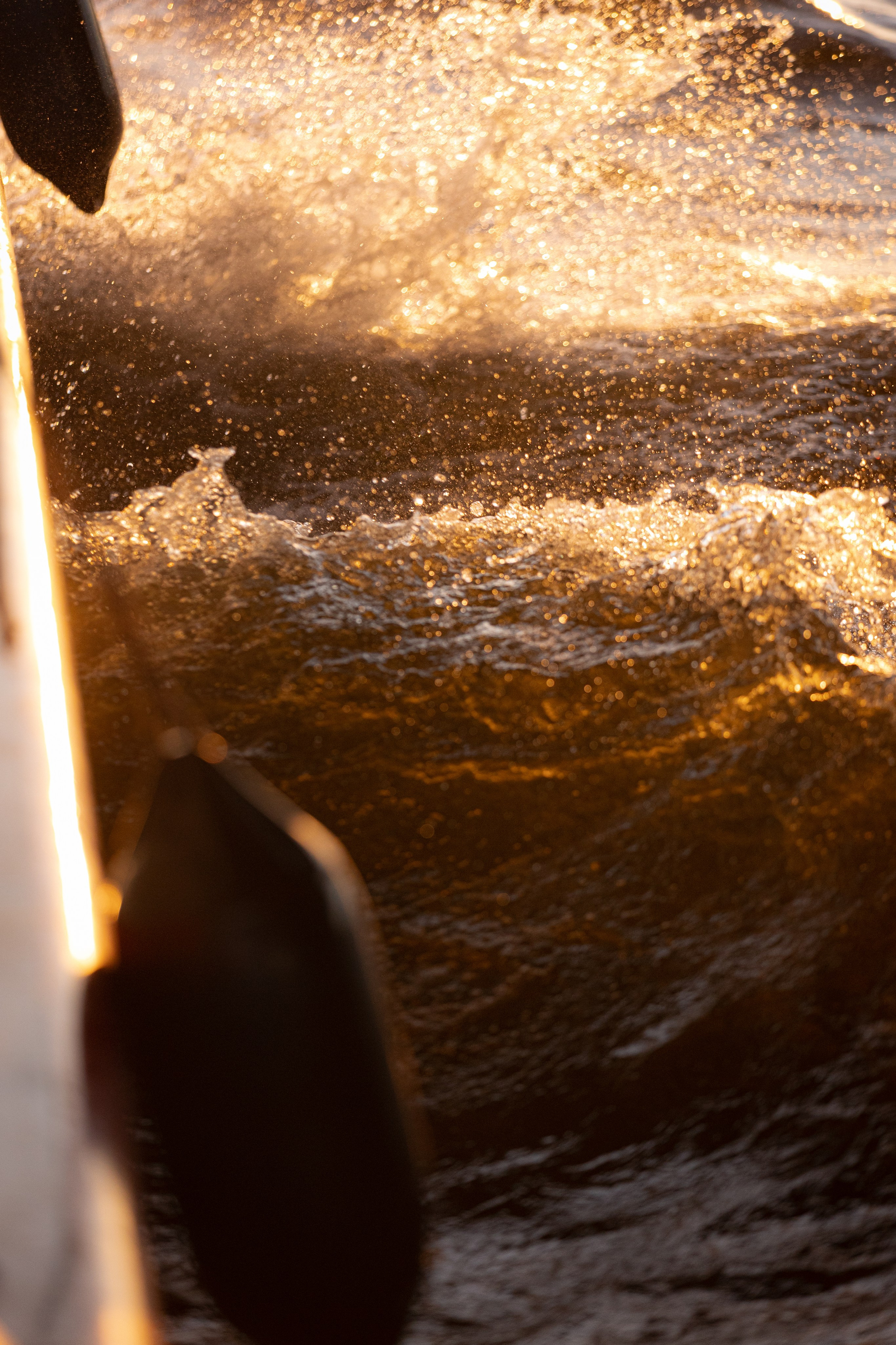 ПМЭФ'24. Ваш фотограф — Александра Андрущенко